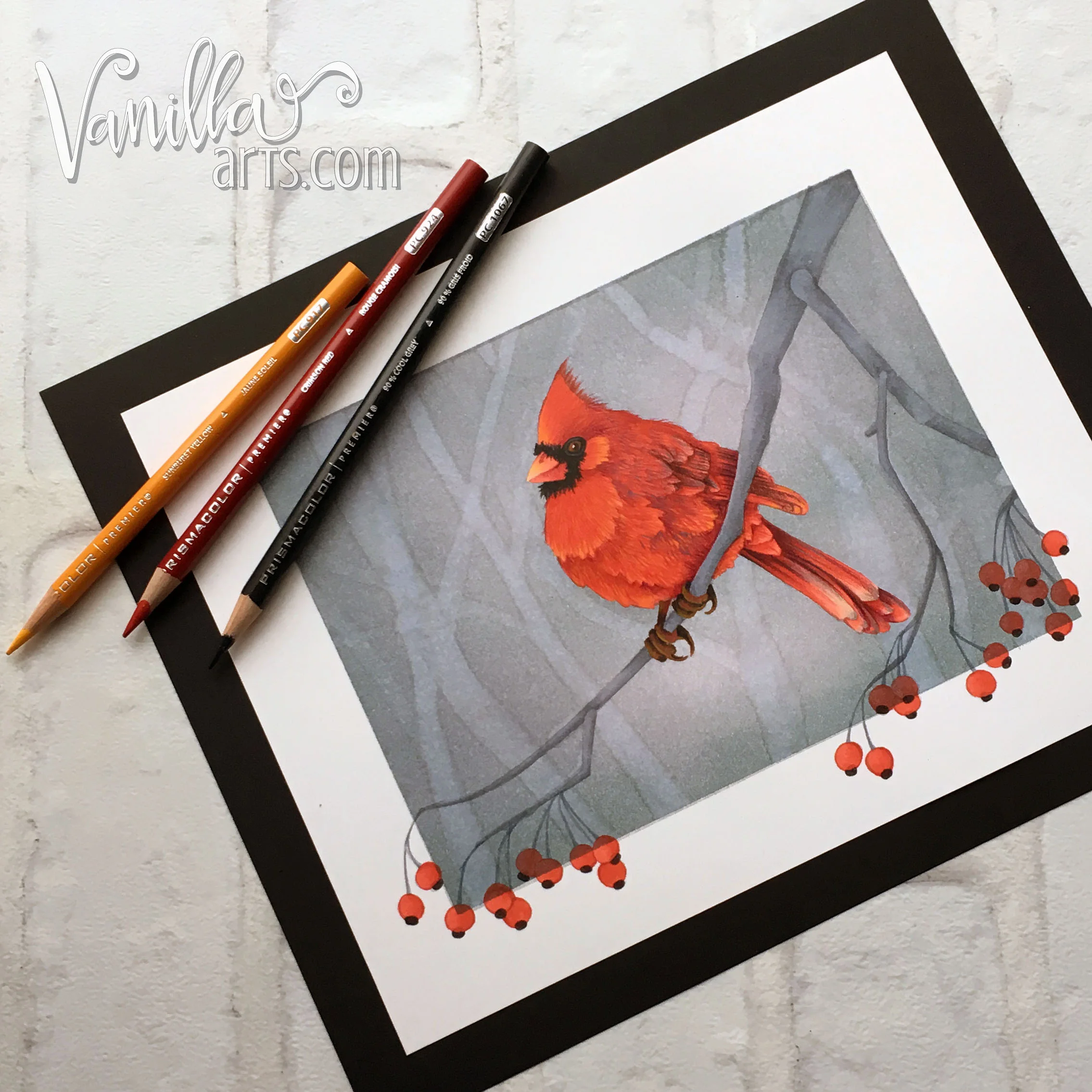 Marker Painting Basics: Red Bird