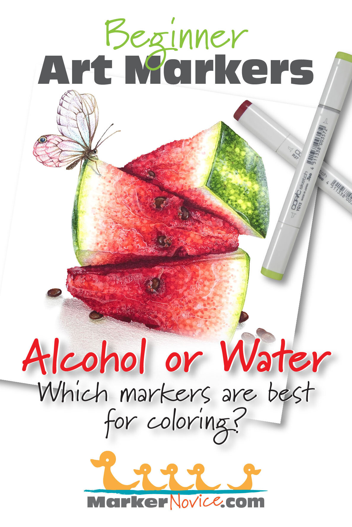 Alcohol Markers: A Complete Beginner's Guide. (Exploring Ohuhu