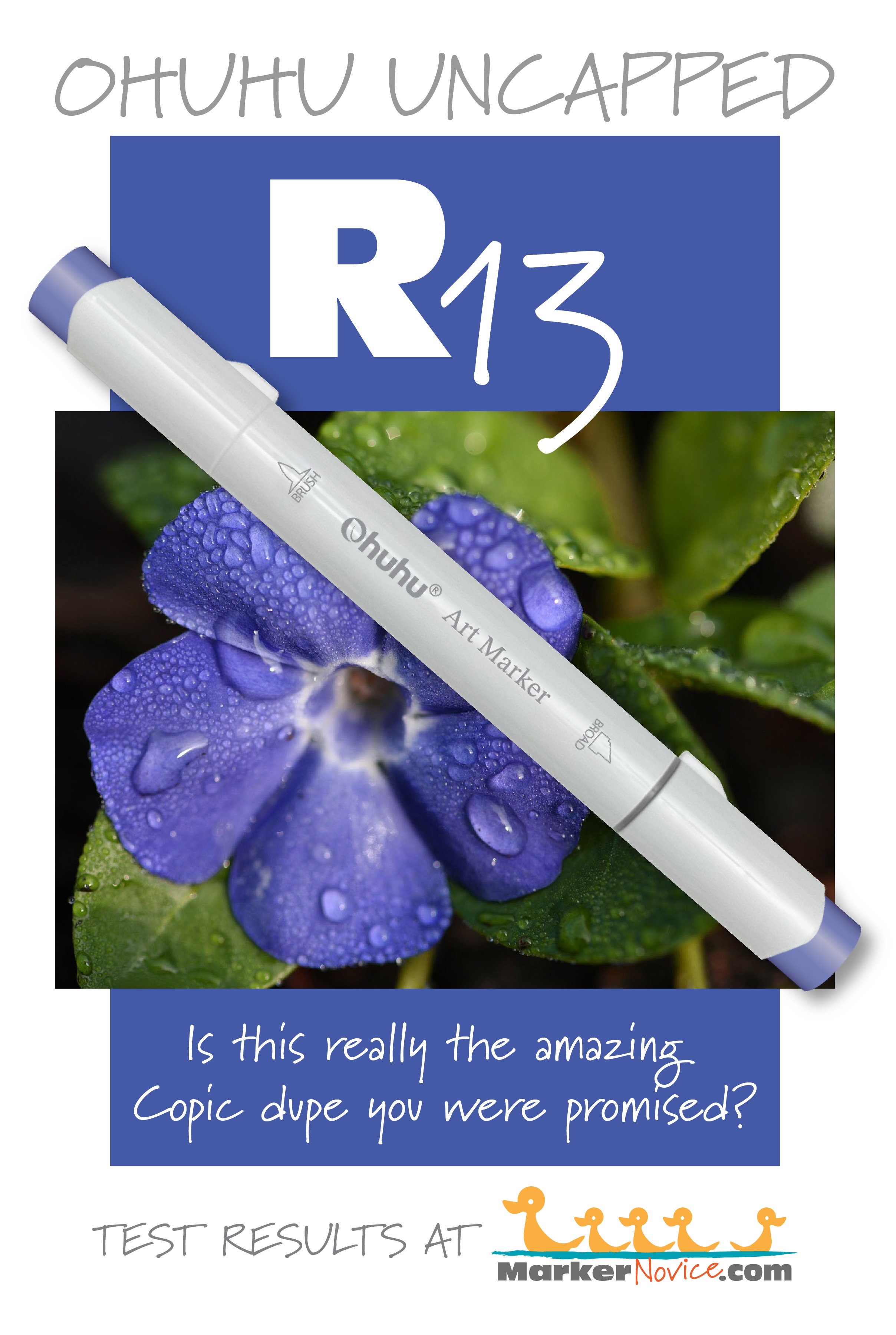 R13 Clematis: Testing Ohuhu Markers for Lightfastness and Quality