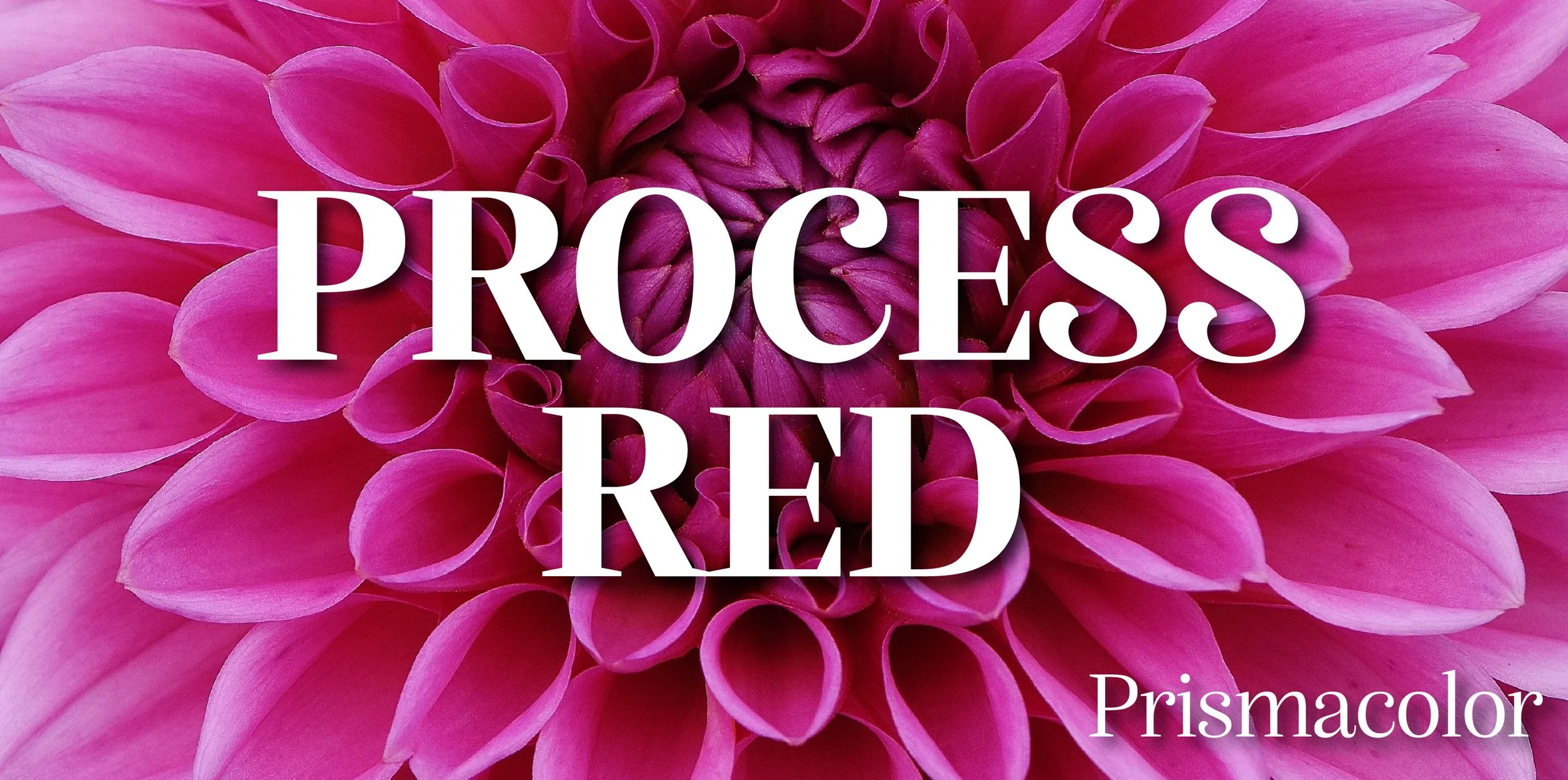 Prismacolor's Process Red 994 can be used to color this beautiful dahlia.