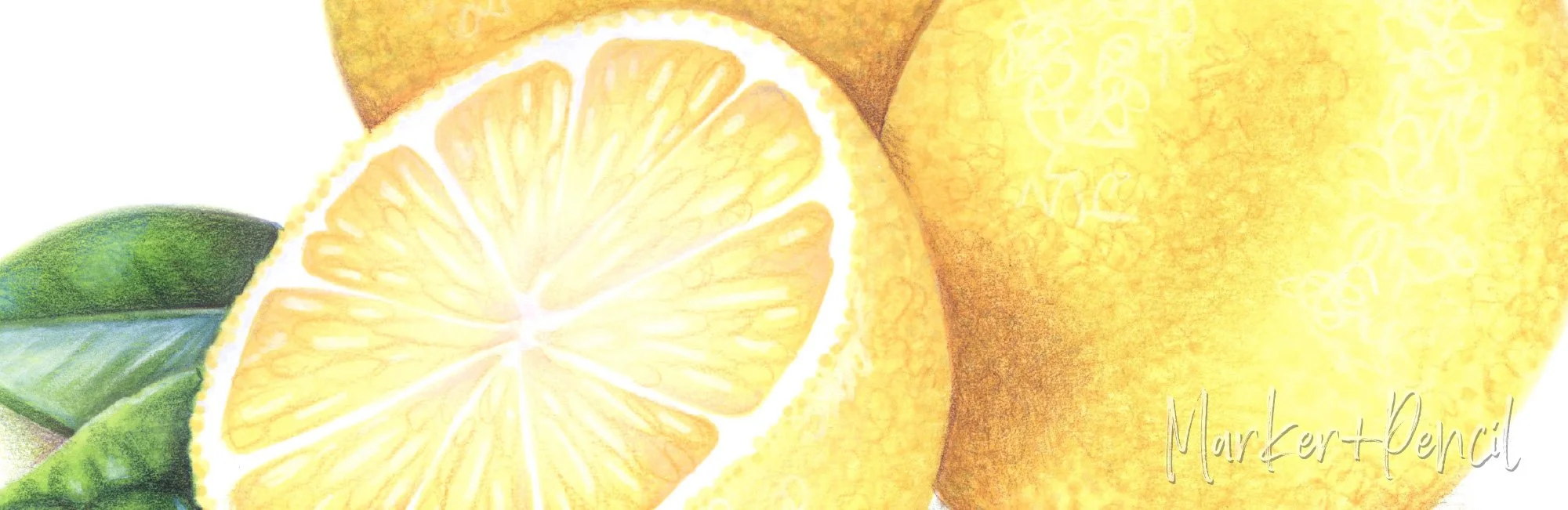 Closeup of “Lemon Zest” illustration using Copic Markers and colored pencil by Amy Shulke. Lesson available at ColorWonk.com