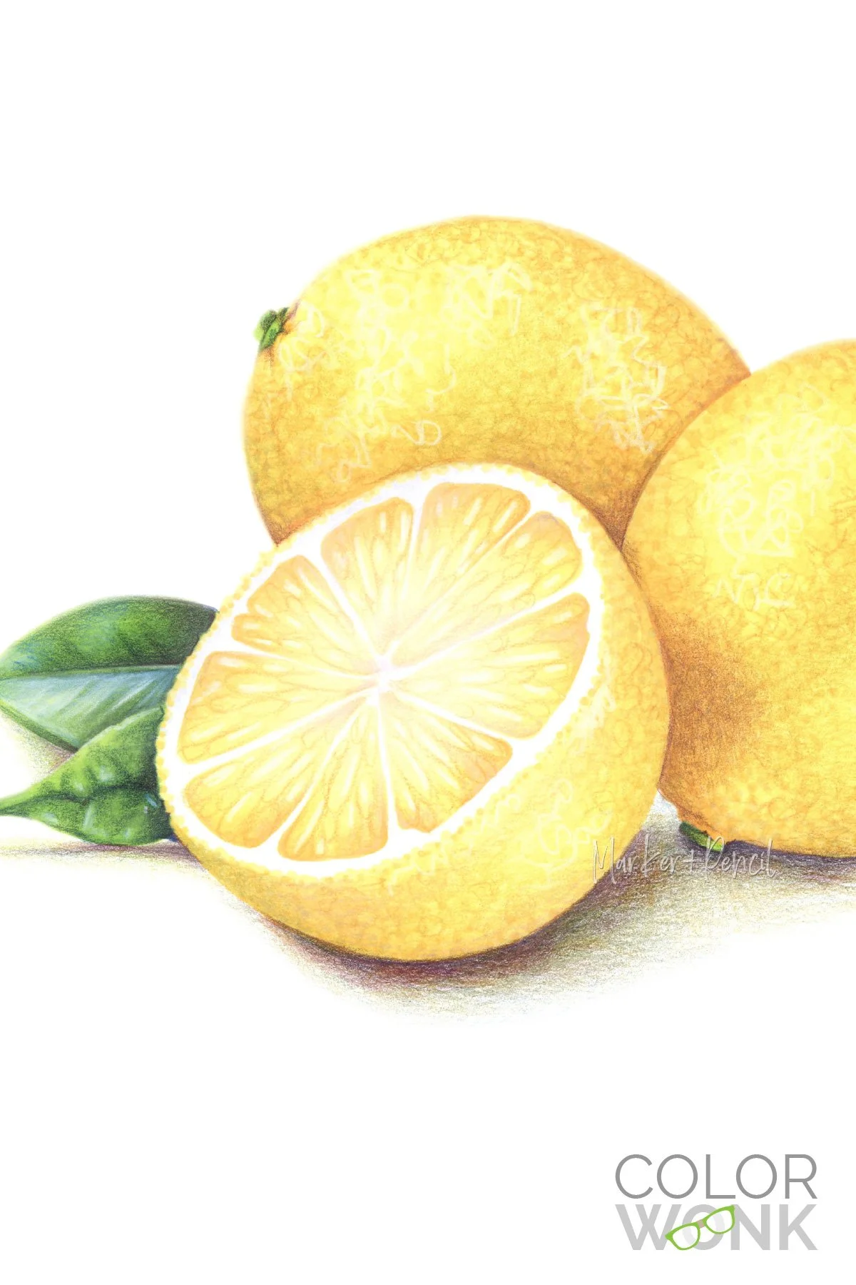 Closeup of “Lemon Zest” illustration using Copic Markers and colored pencil by Amy Shulke. Lesson available at ColorWonk.com