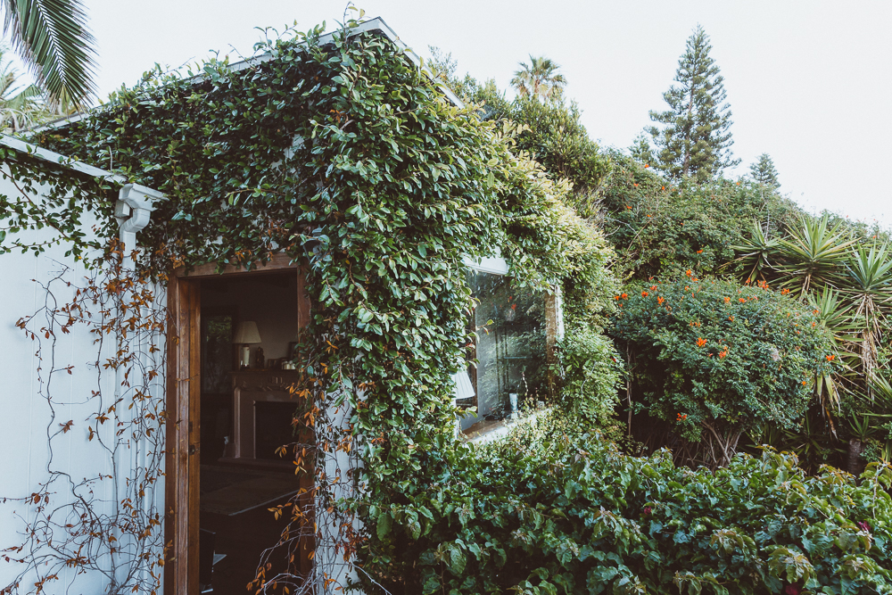 Stylish bungalow 