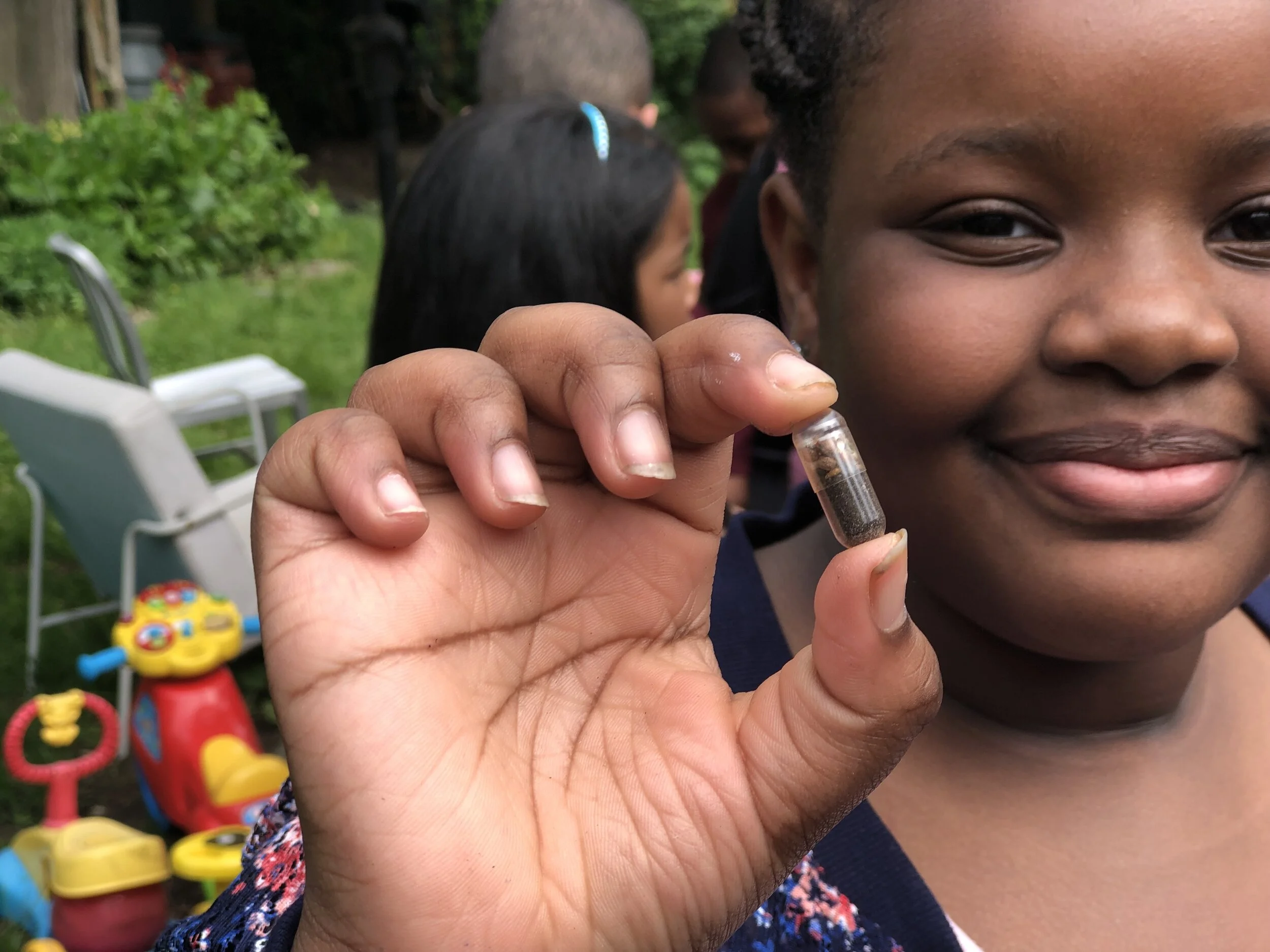 Public School Workshops for World Bee Day