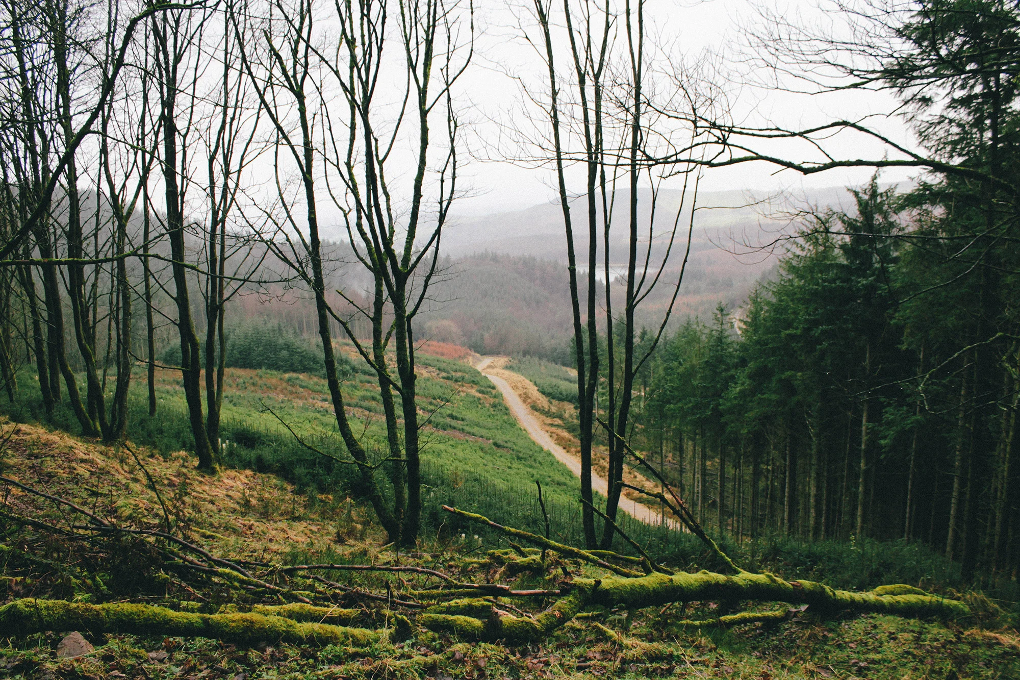 IMG_1963_edit-2_Macclesfield.jpg