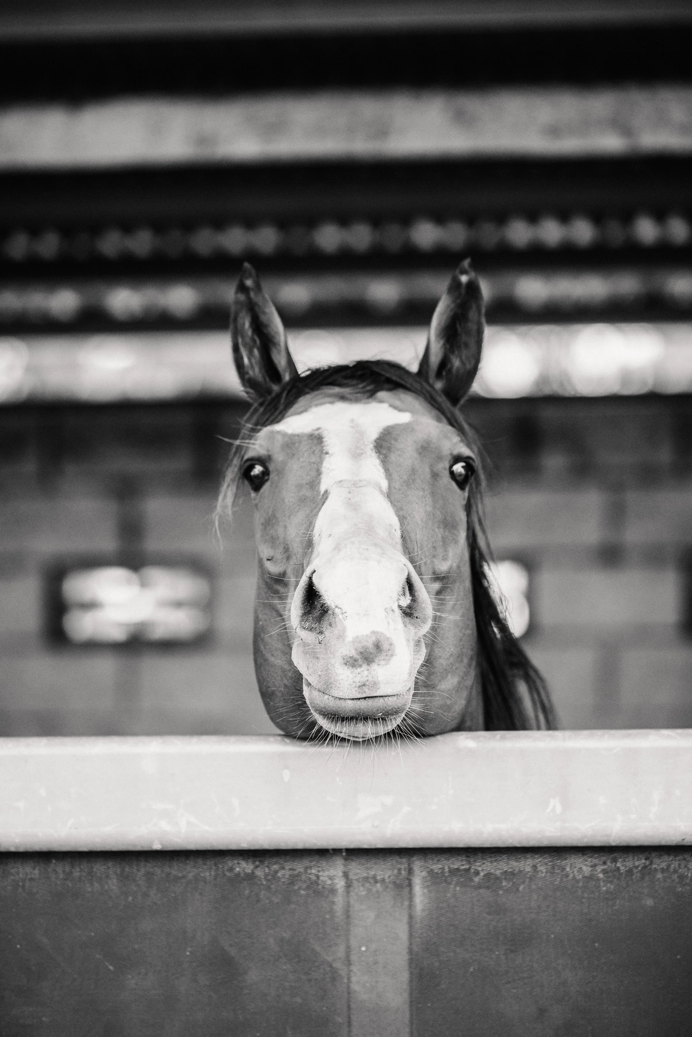 Jake and Jay-174.jpg