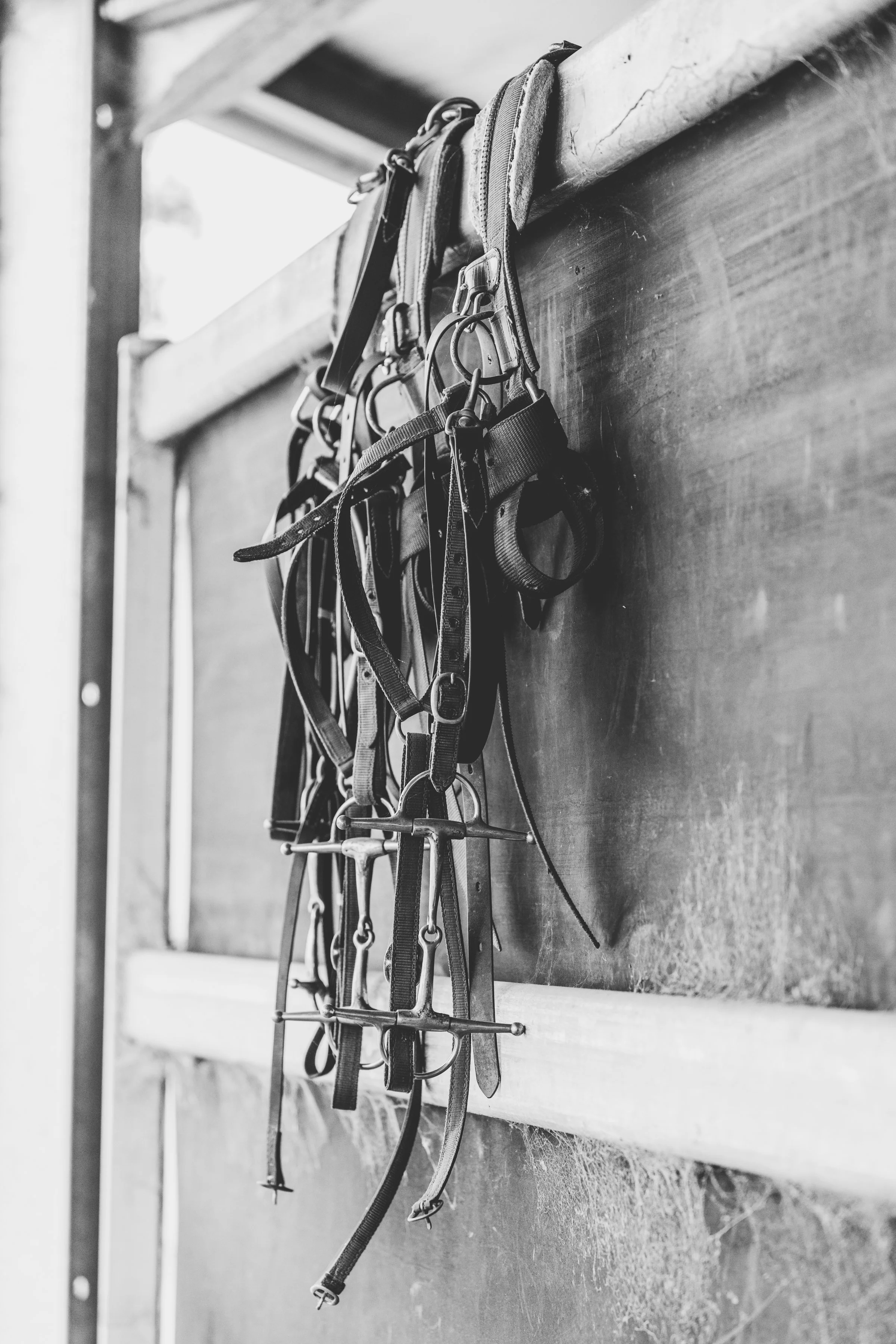 Jake and Jay-185 (1).jpg