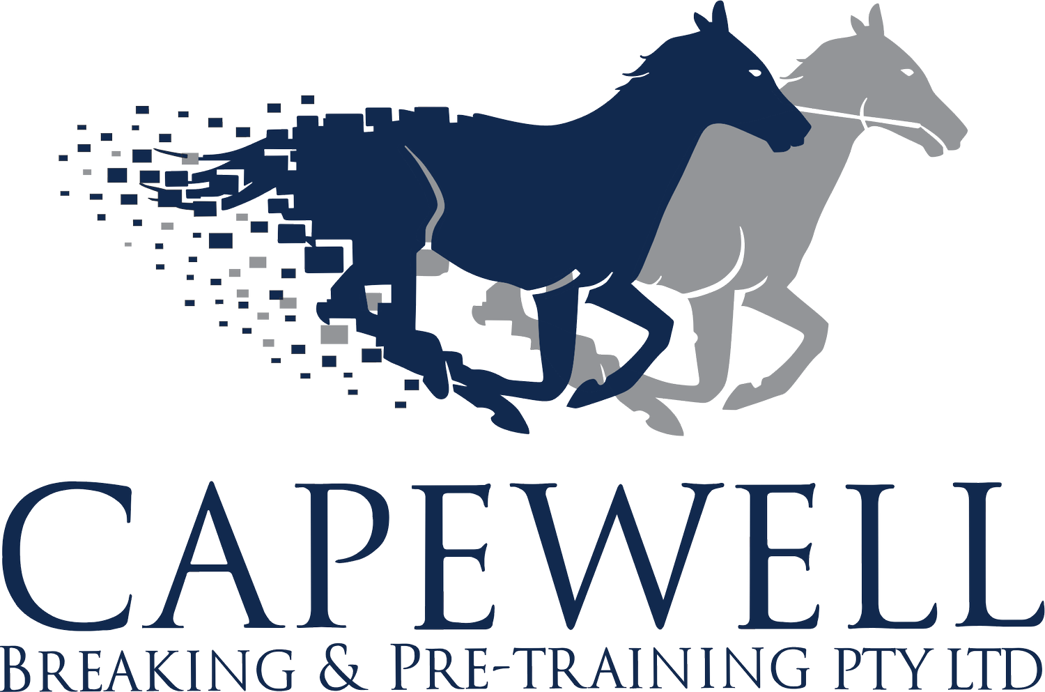 Capewell Breaking & Pre-Training PTY LTD