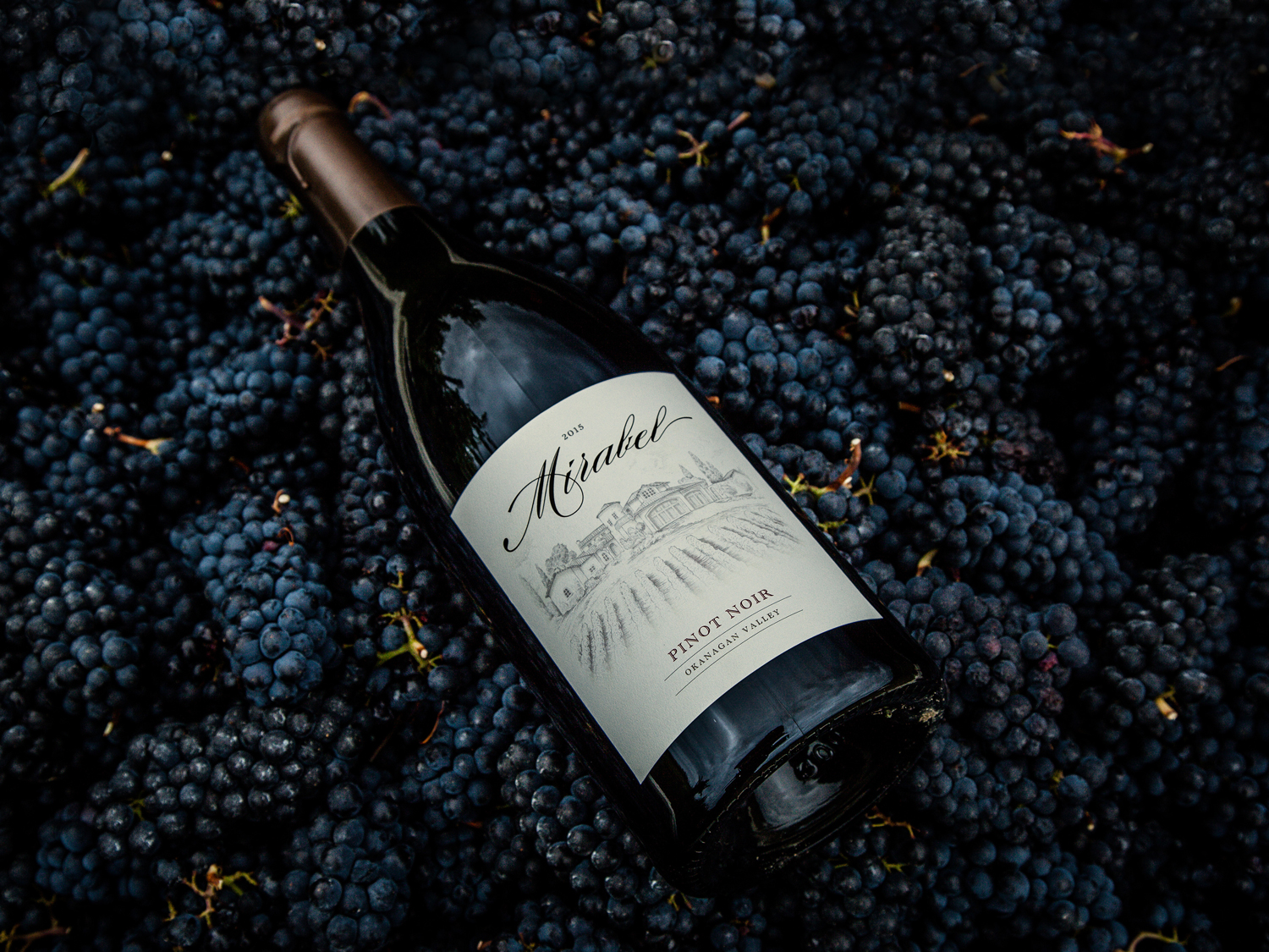 mirabel-vineyards-branding