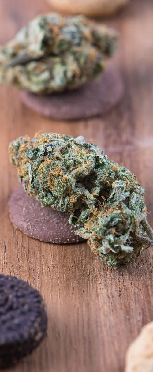 Cannabis edible