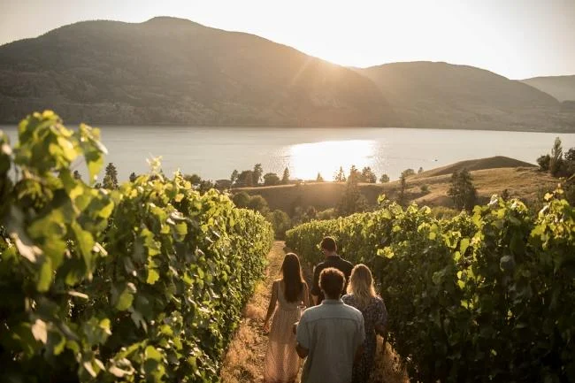 okanagan wine initiative.jpg
