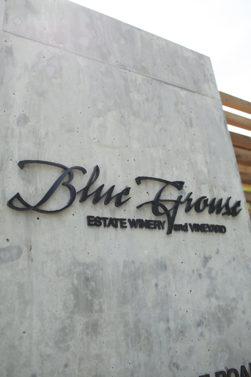 BlueGrouse-Winery-1505219011-CreditDerekFord _1_.jpeg