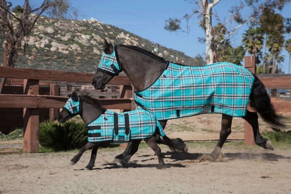 kensington-miniature-horse-protective-fly-sheet-M2.jpg