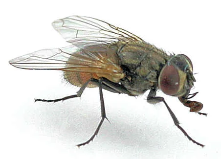 20097ma1101_065.jpg