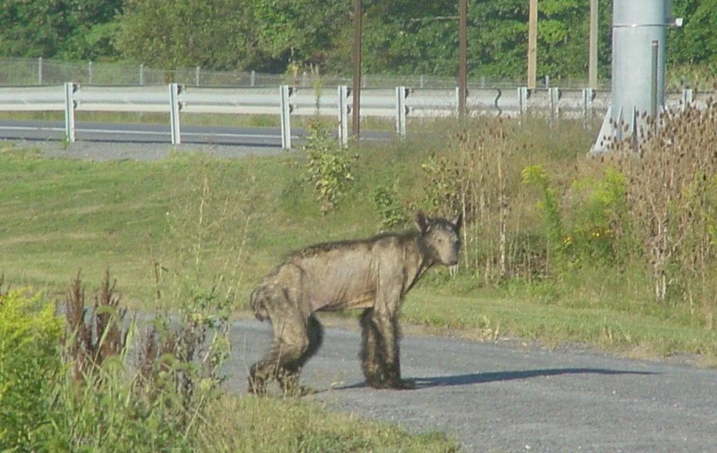 595692da5fbcf.image.jpg