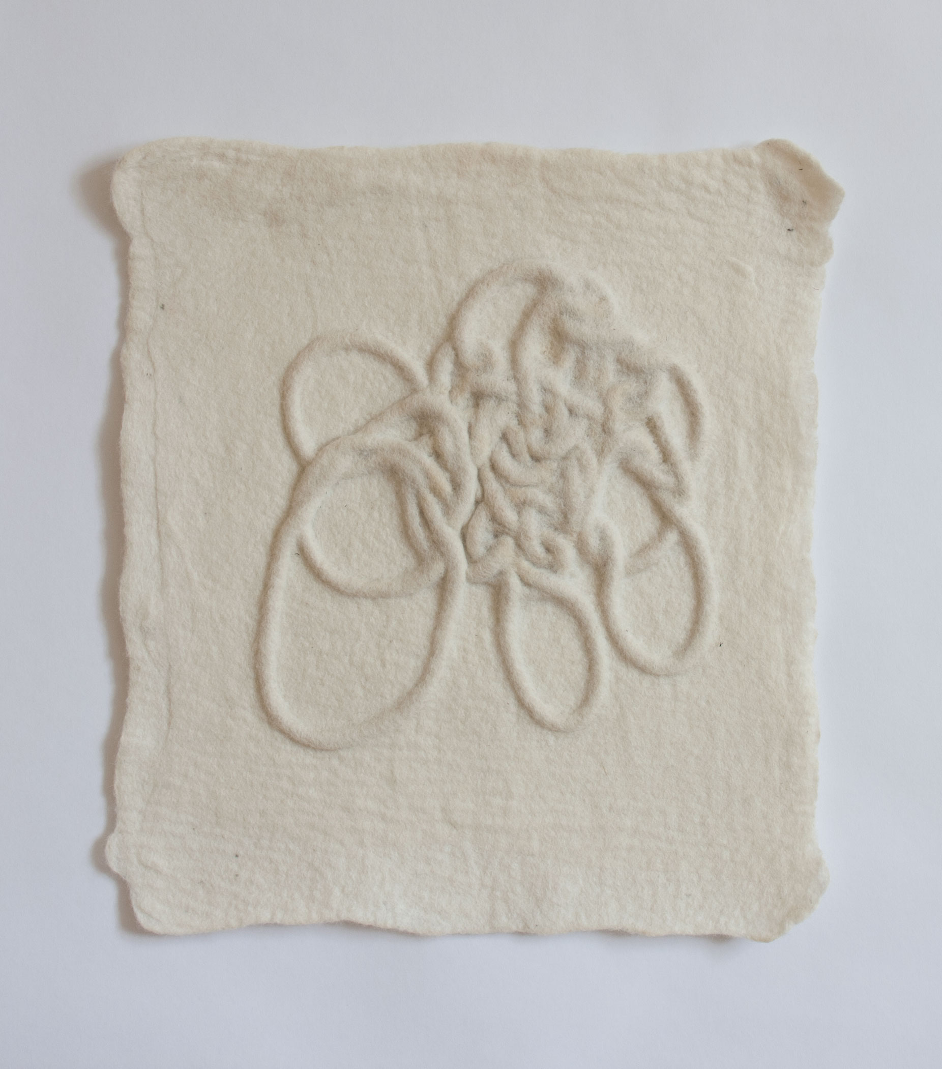 Untitled Handfelted merino wool, rope 2017