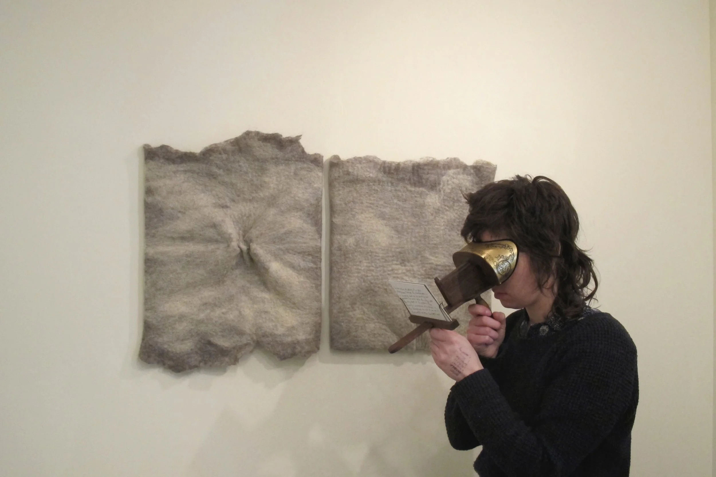 Behold Binocular at Historic Northampton Installation view, handfelted diptych, stereoscope and images Feburary 14 - March 7, 2014