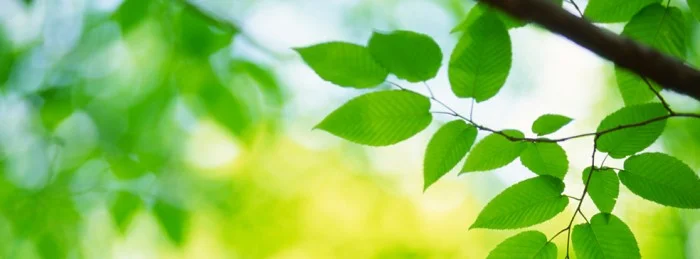 Newsletter – June 2011