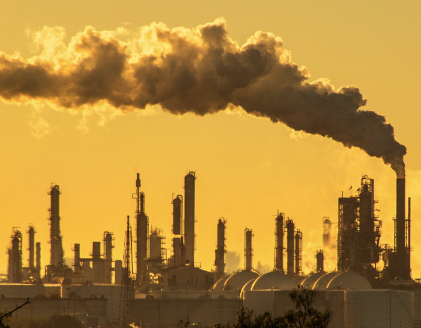 The Right to a Healthy Environment: What Does it Mean?