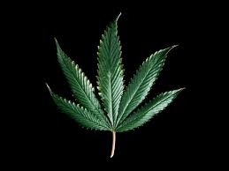 Where to Buy Weed in Sri Lanka--Weed Journal #4