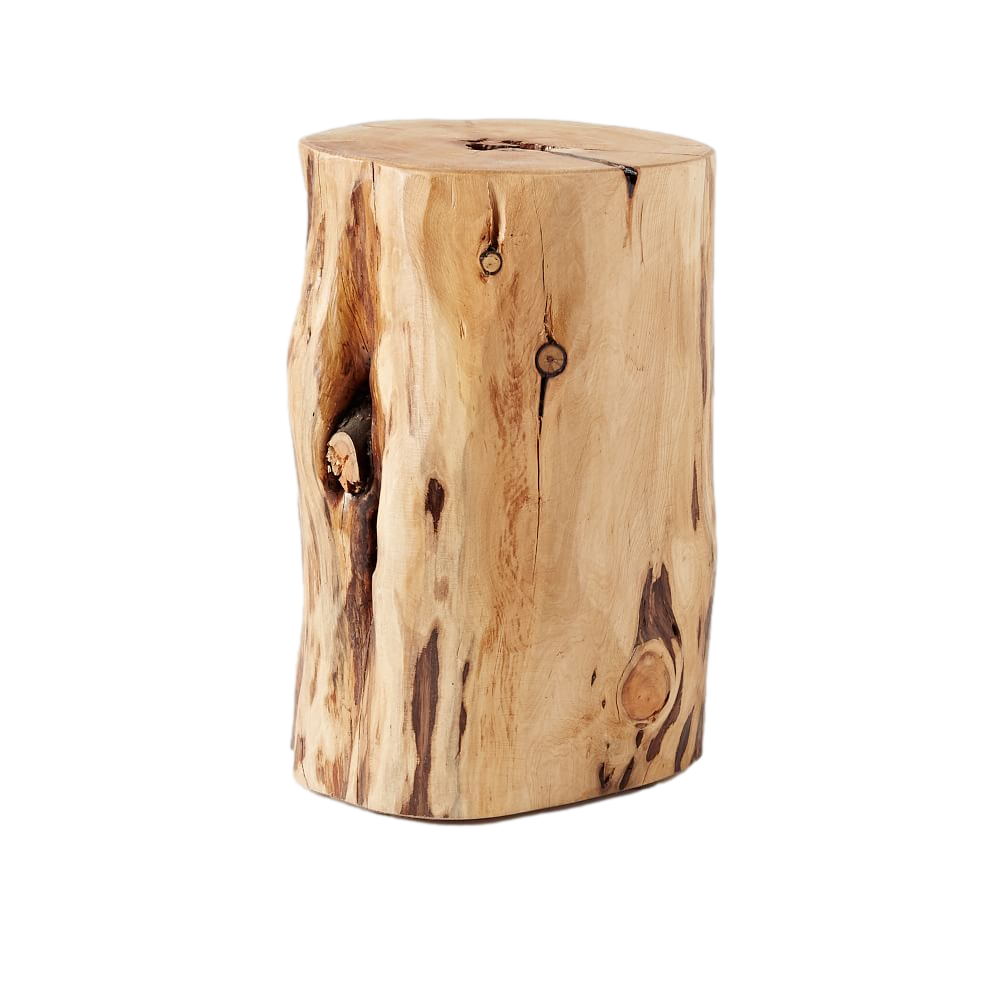 natural wood stump side table