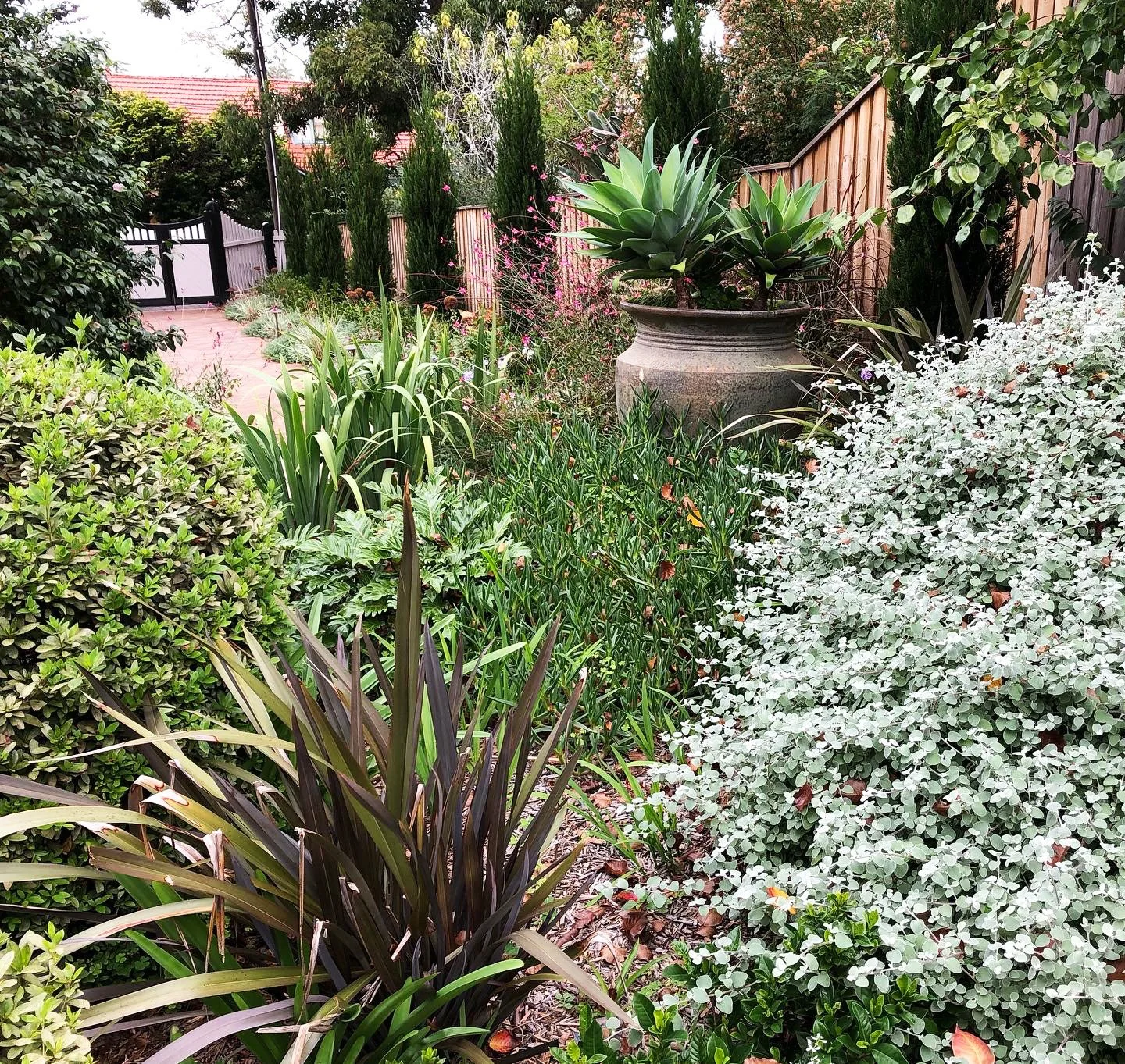 SoftLandscaping-2.jpg