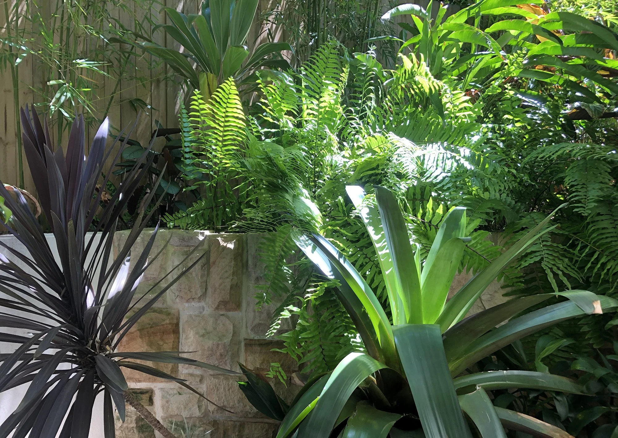 SoftLandscaping-1.jpg