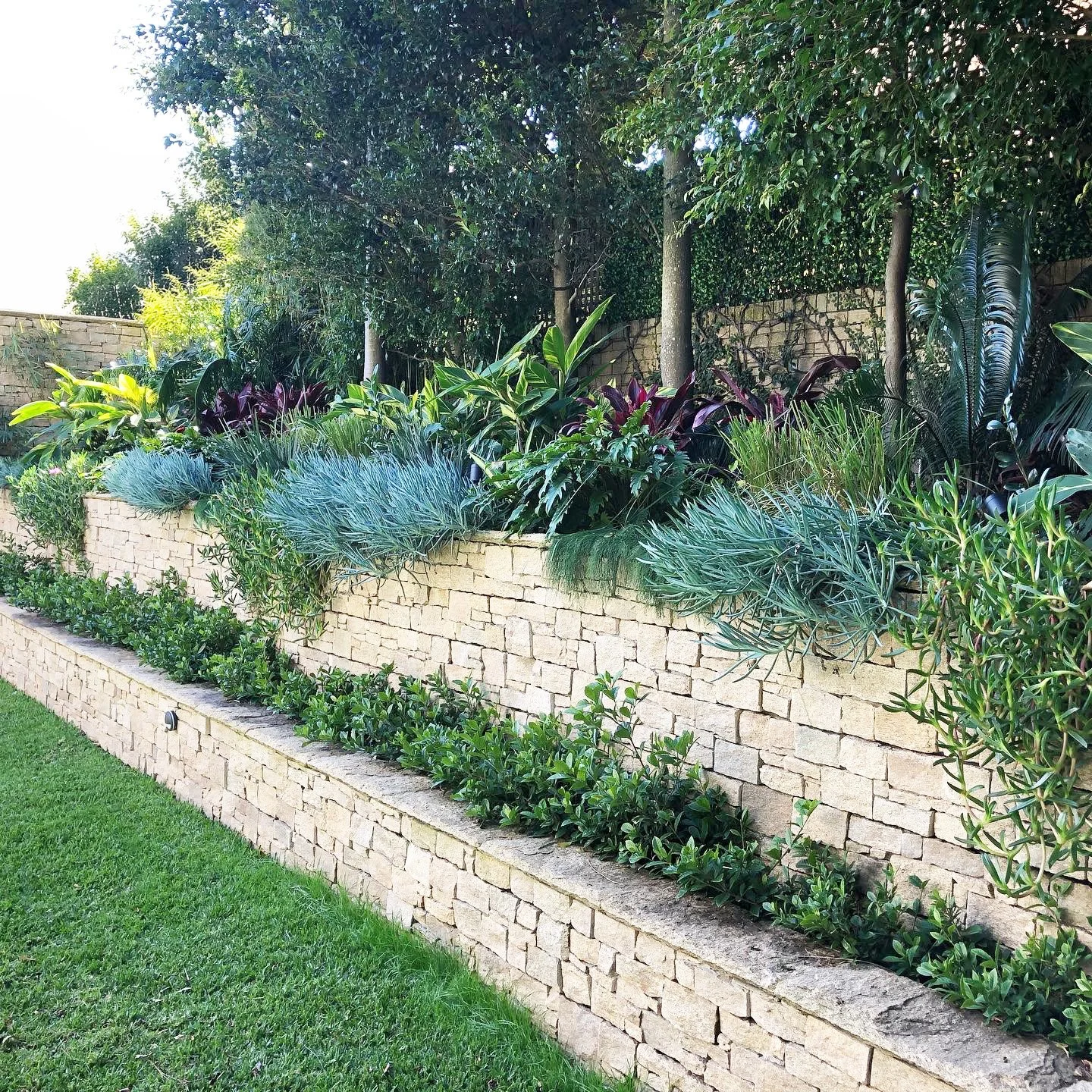 SoftLandscaping-4.jpg