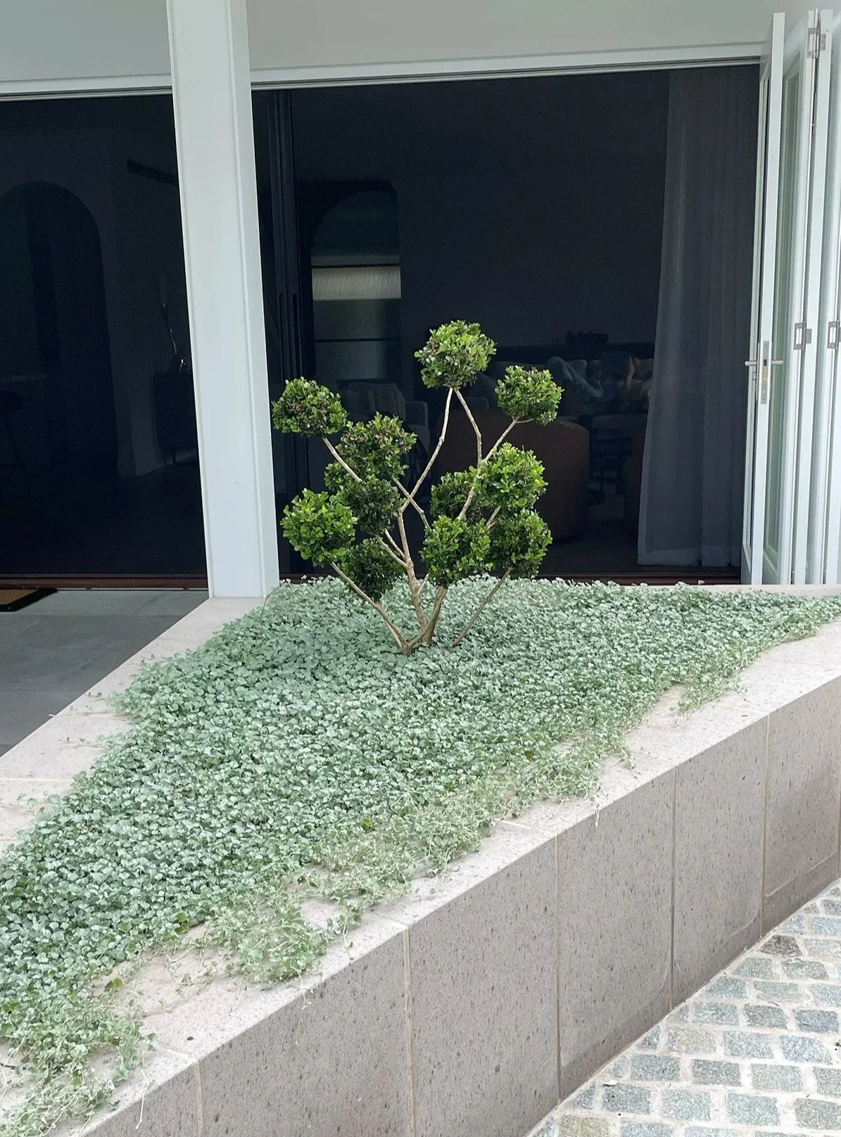 SoftLandscaping-8.jpg