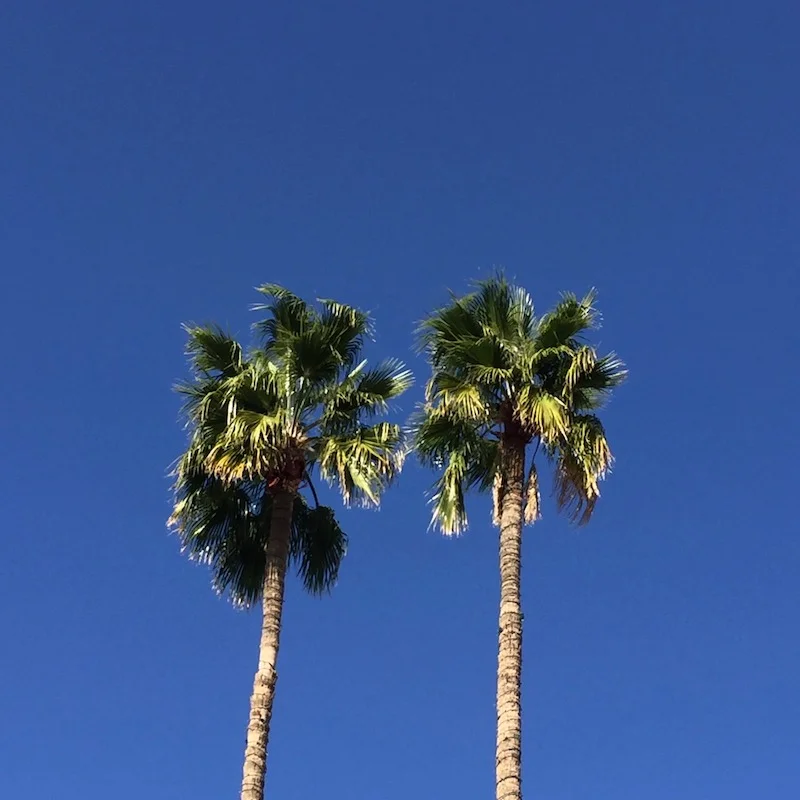 How to Nail Your Content Marketing