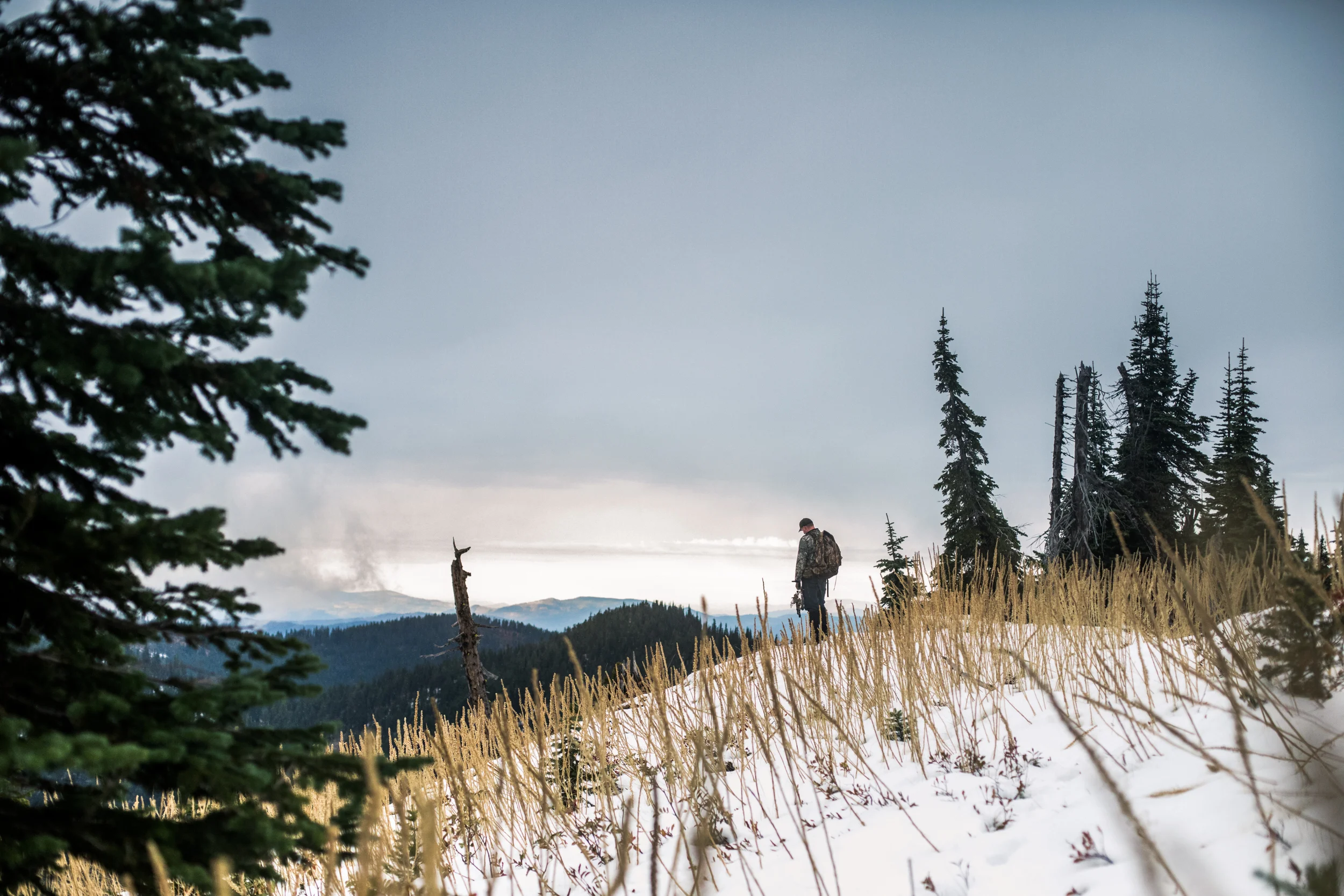 Nick Bentley Founder of WapitiID