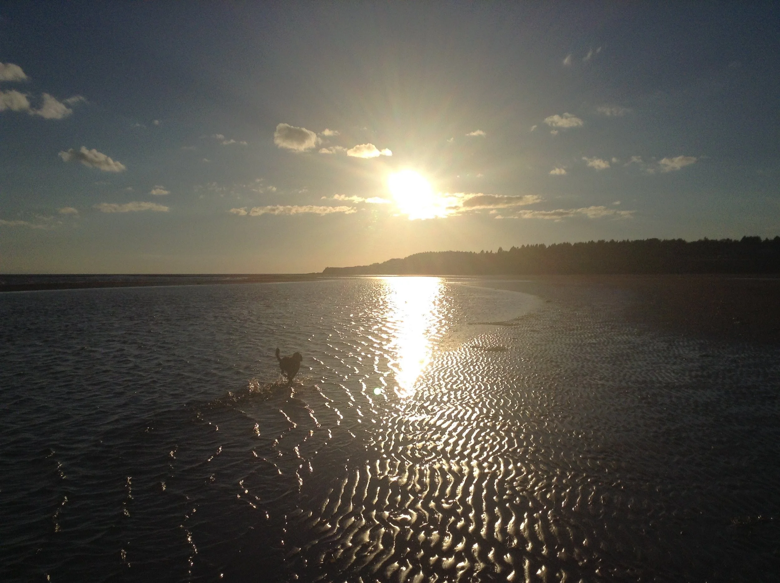 Splashing Into the Sunset