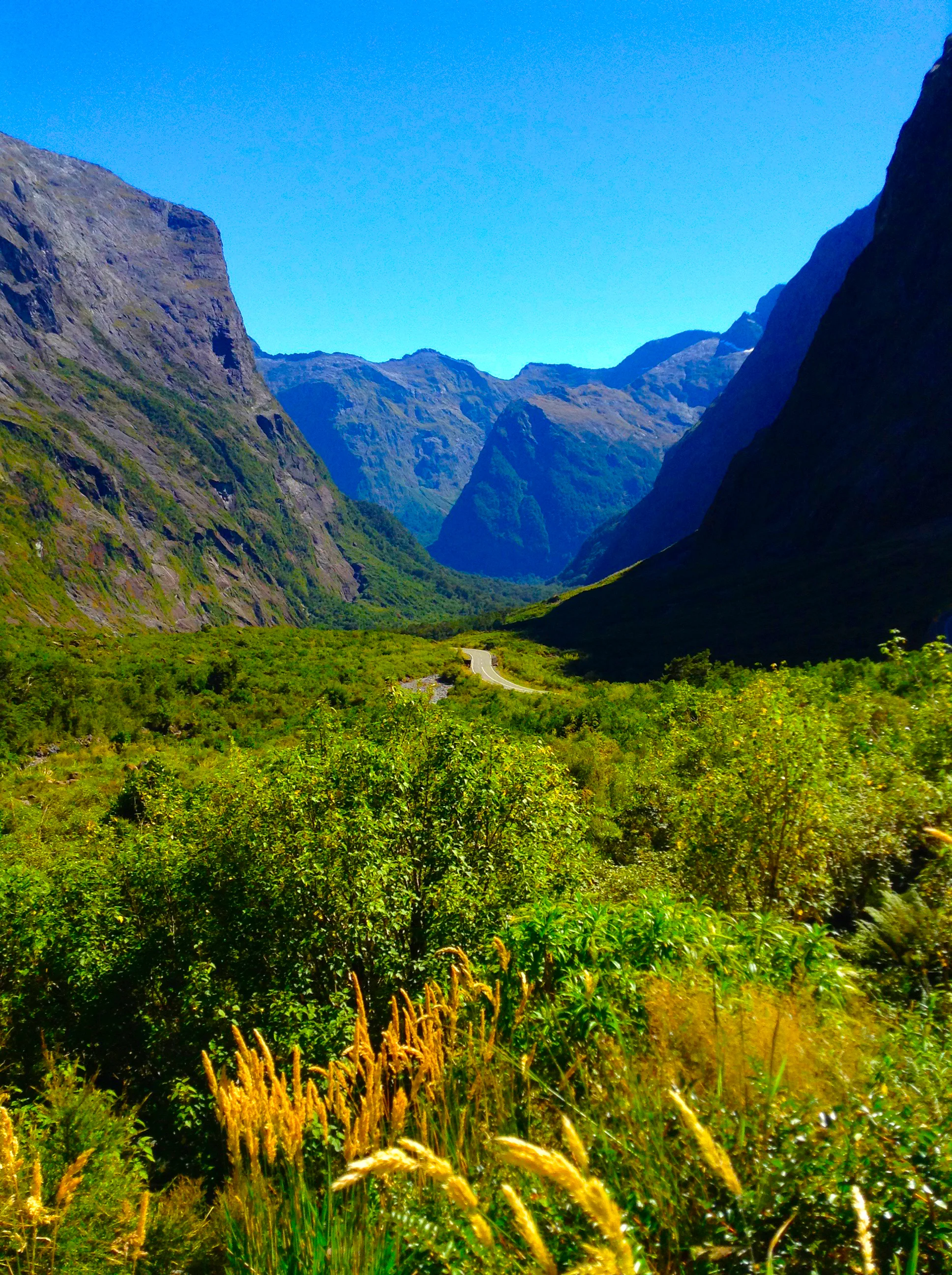 Road to Milfred Sound