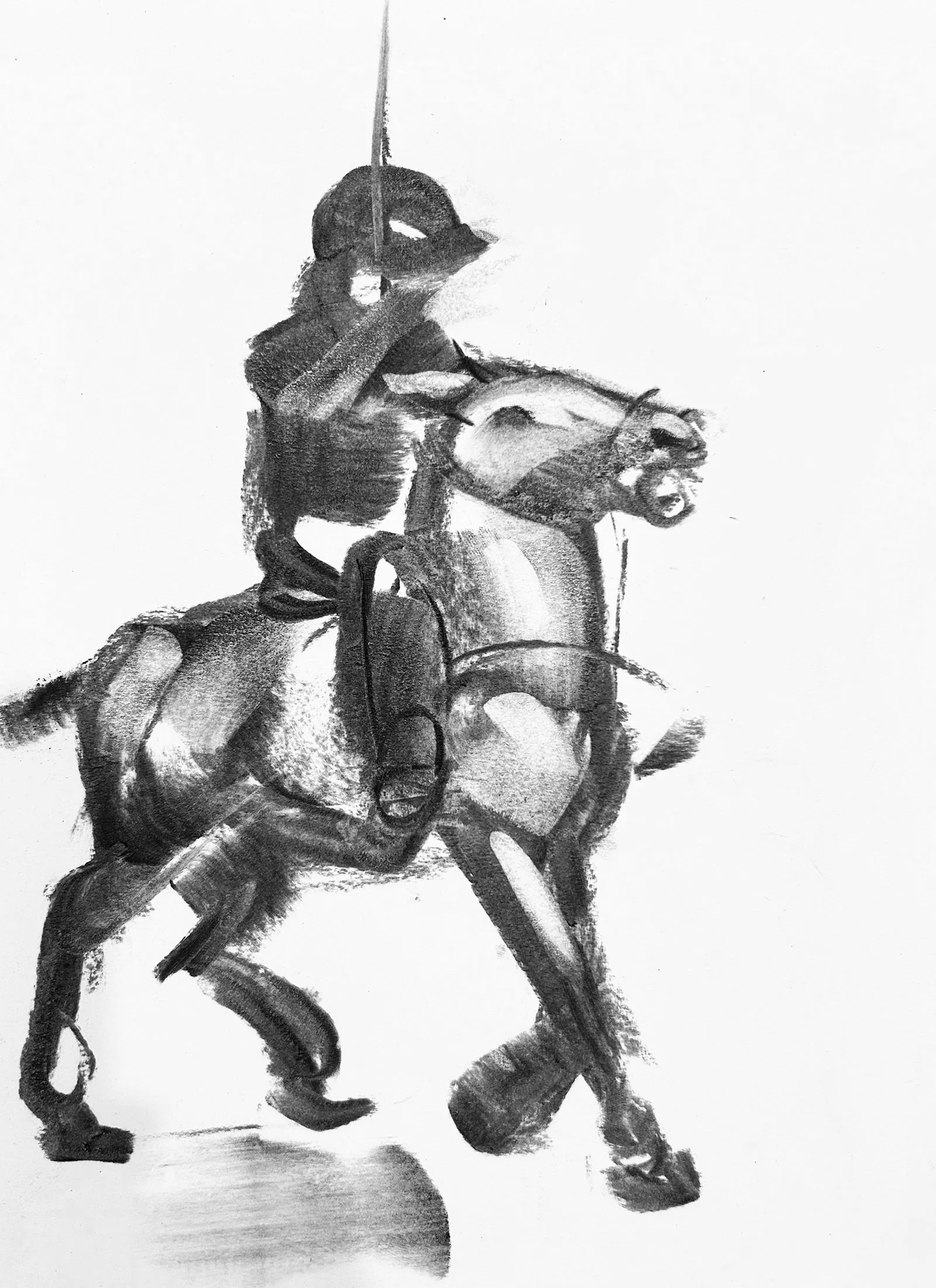 Polo Gesture 14