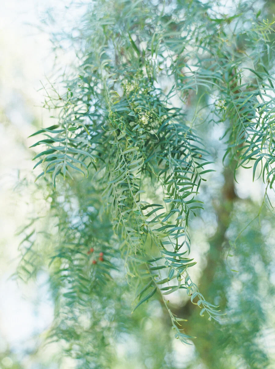 Beaufort Wedding Photographer | Oldfield Wedding Photographer | Hilton Head Island Wedding Photographer | Hilton Head Island Photographer | Bluffton Wedding Photographer | Bluffton Photographer | Dataw Photographer | Charleston Wedding Photographer | Charleston Photographer | Savannah Wedding Photographer | Savannah Photographer | San Luis Obispo Wedding Photographer | Santa Barbara Wedding Photographer | Kestrel Park Wedding Photographer