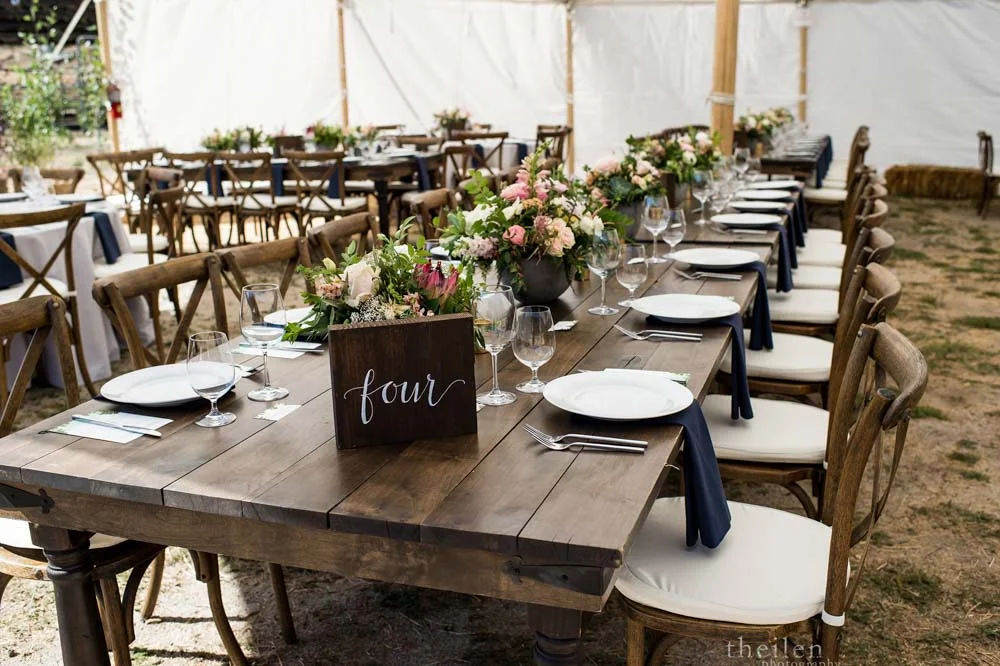 Theilen Photography_ One Fine Day Events_-4.jpg