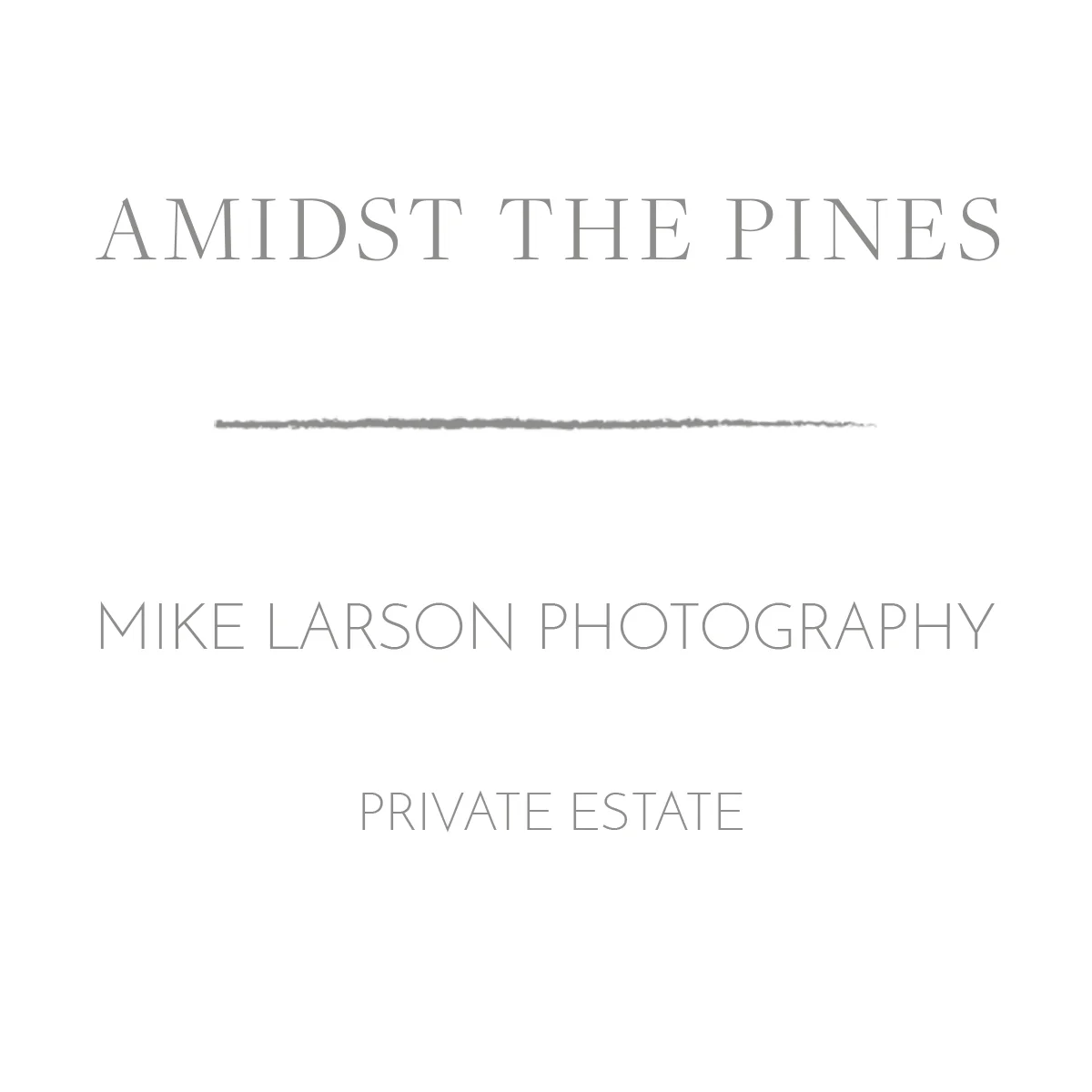 Amidst the Pines.jpg