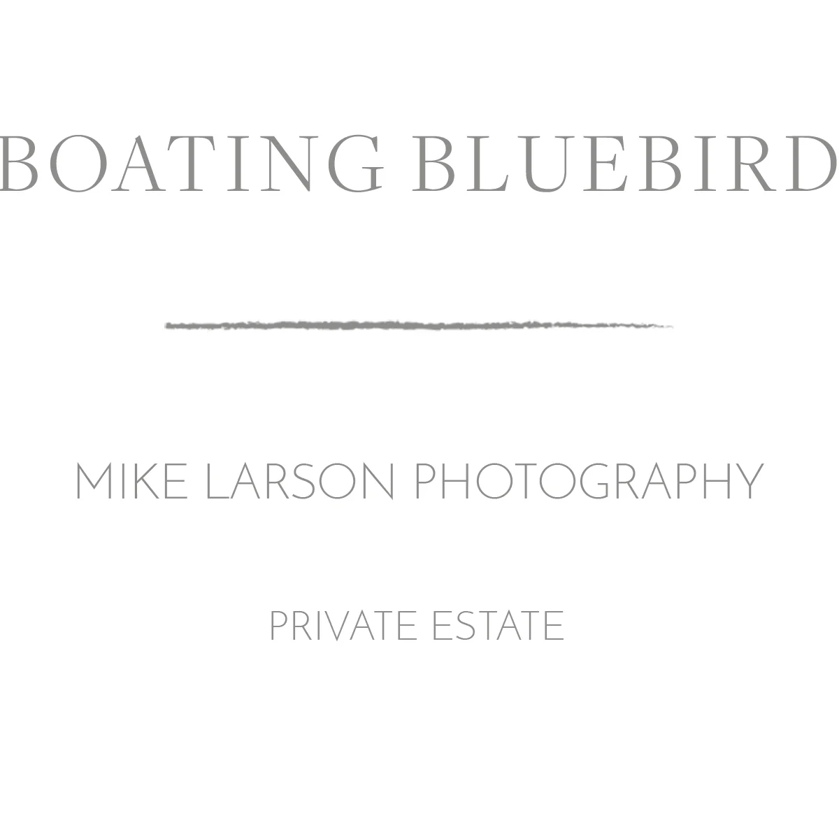 BOATINGBLUEBIRD.jpg