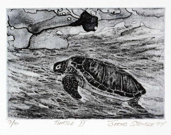 Turtle II