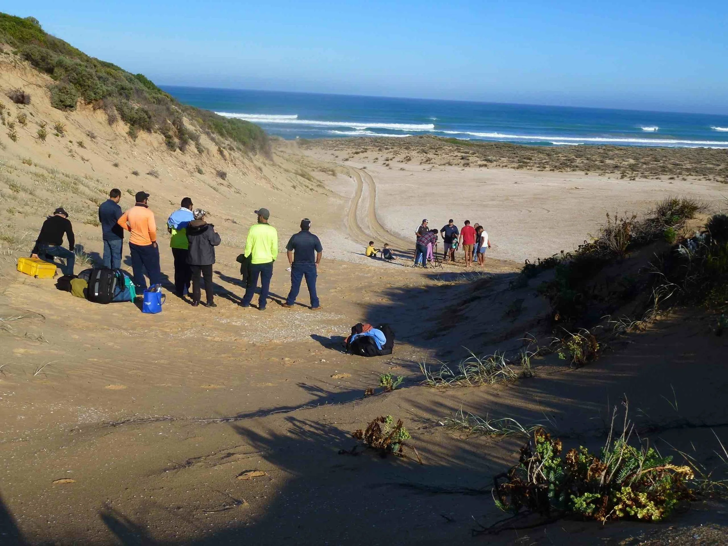 Setting up at Hacks Point Beach. Photo Diane Bell, 2014