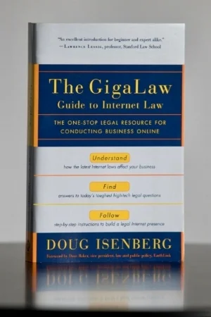 The GigaLaw Guide to Internet Law by Doug Isenberg (Random House, 2002)