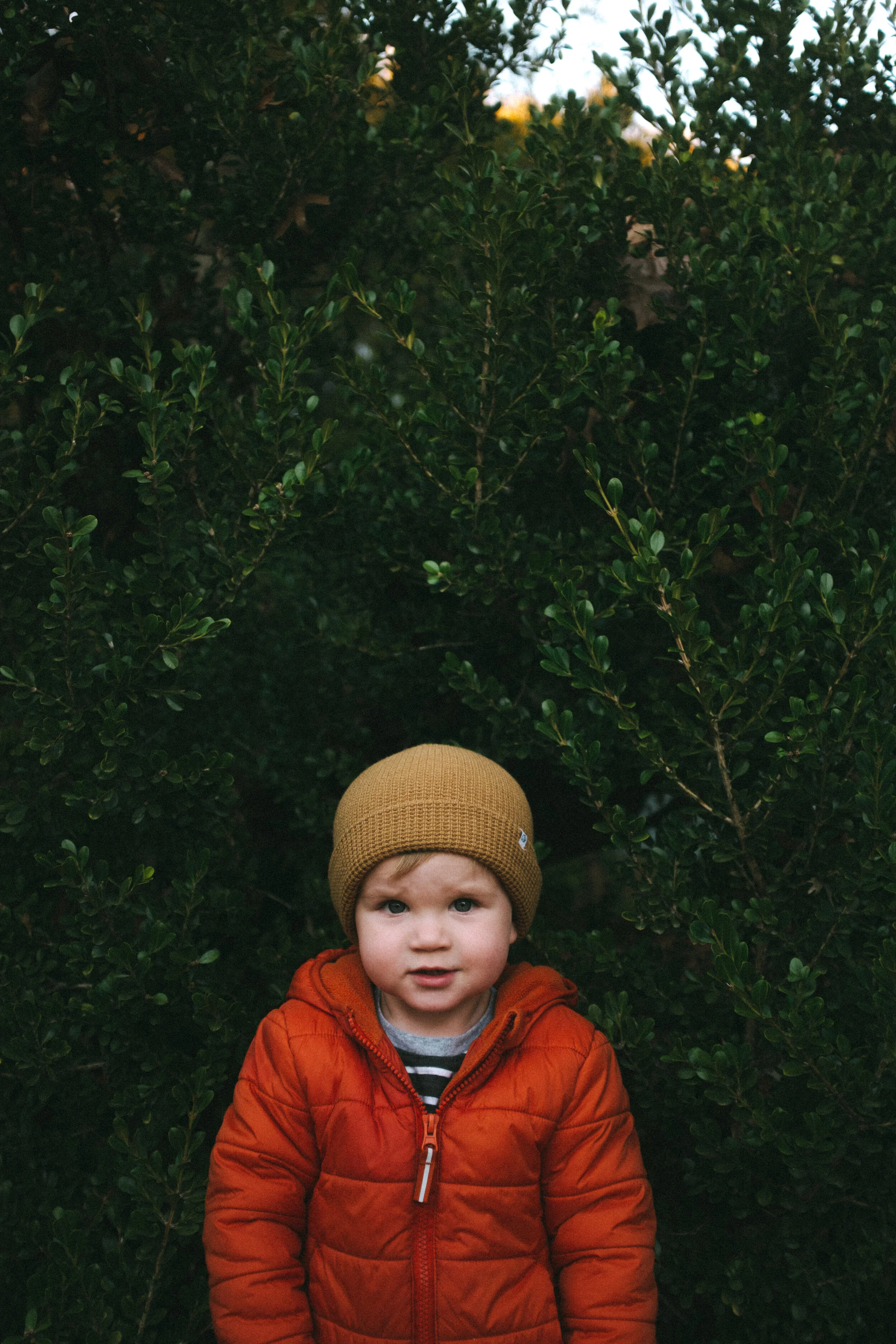 DSCF1611-2.jpg