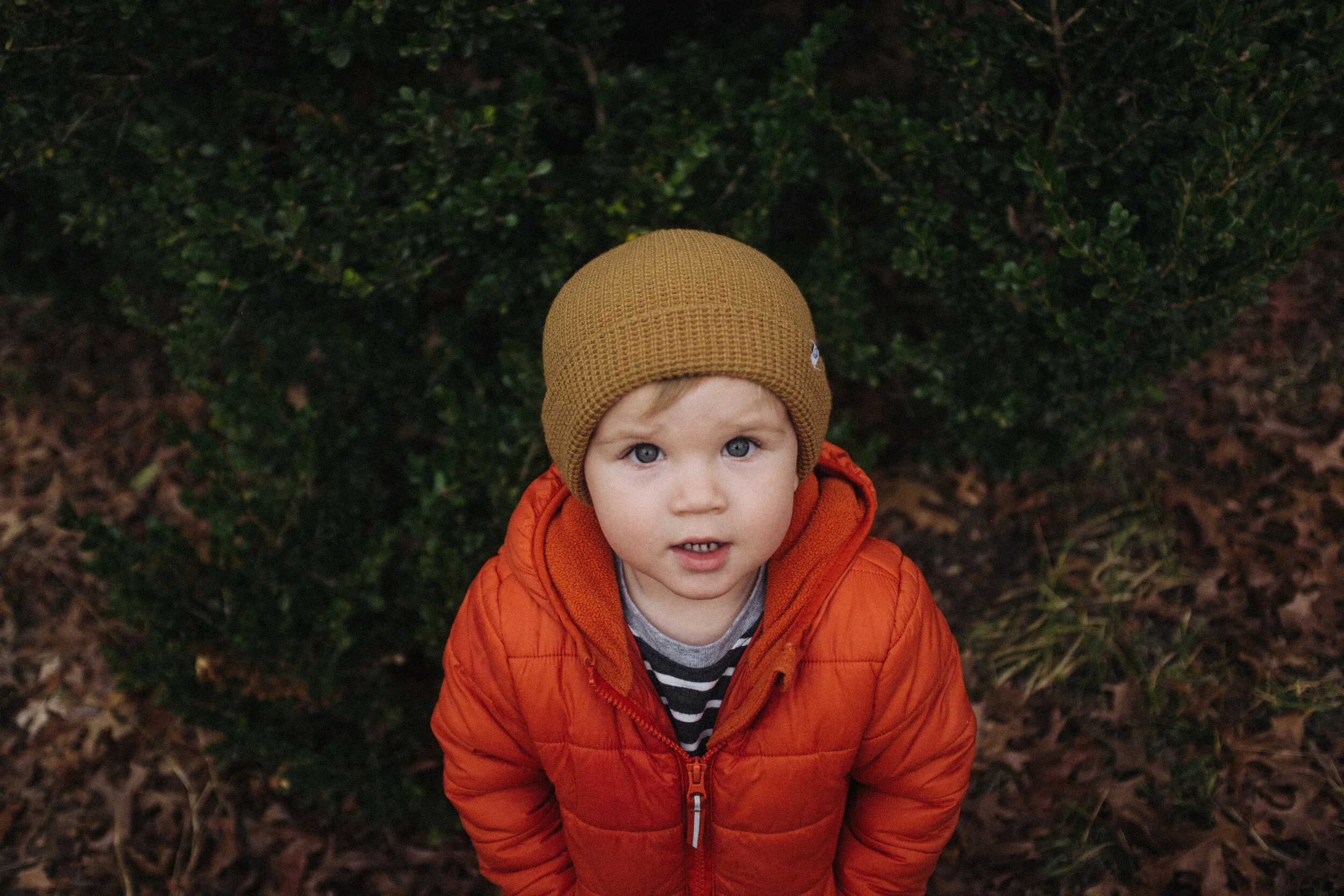DSCF1617-2.jpg
