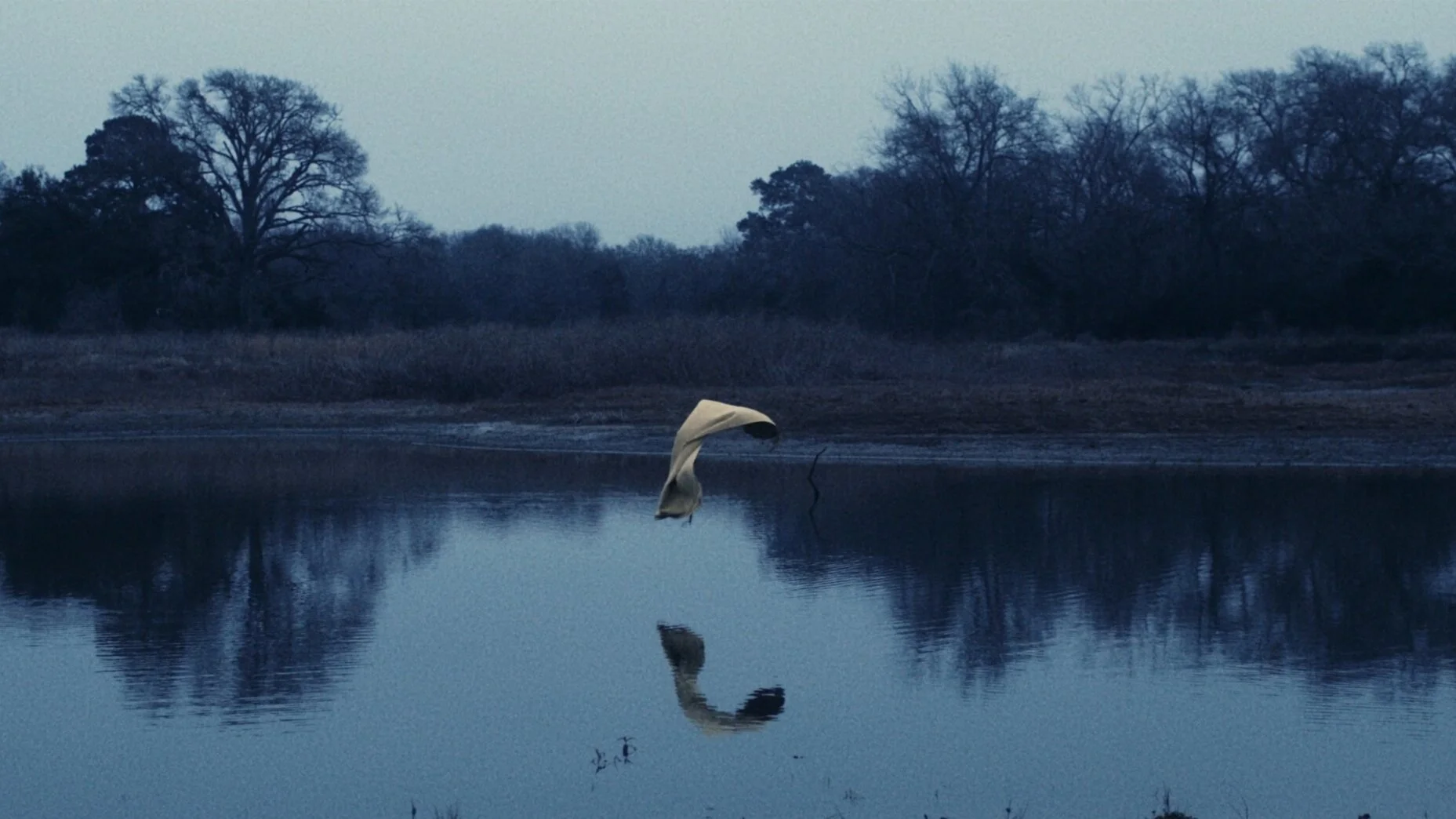 Part II - Hope Has Dawned