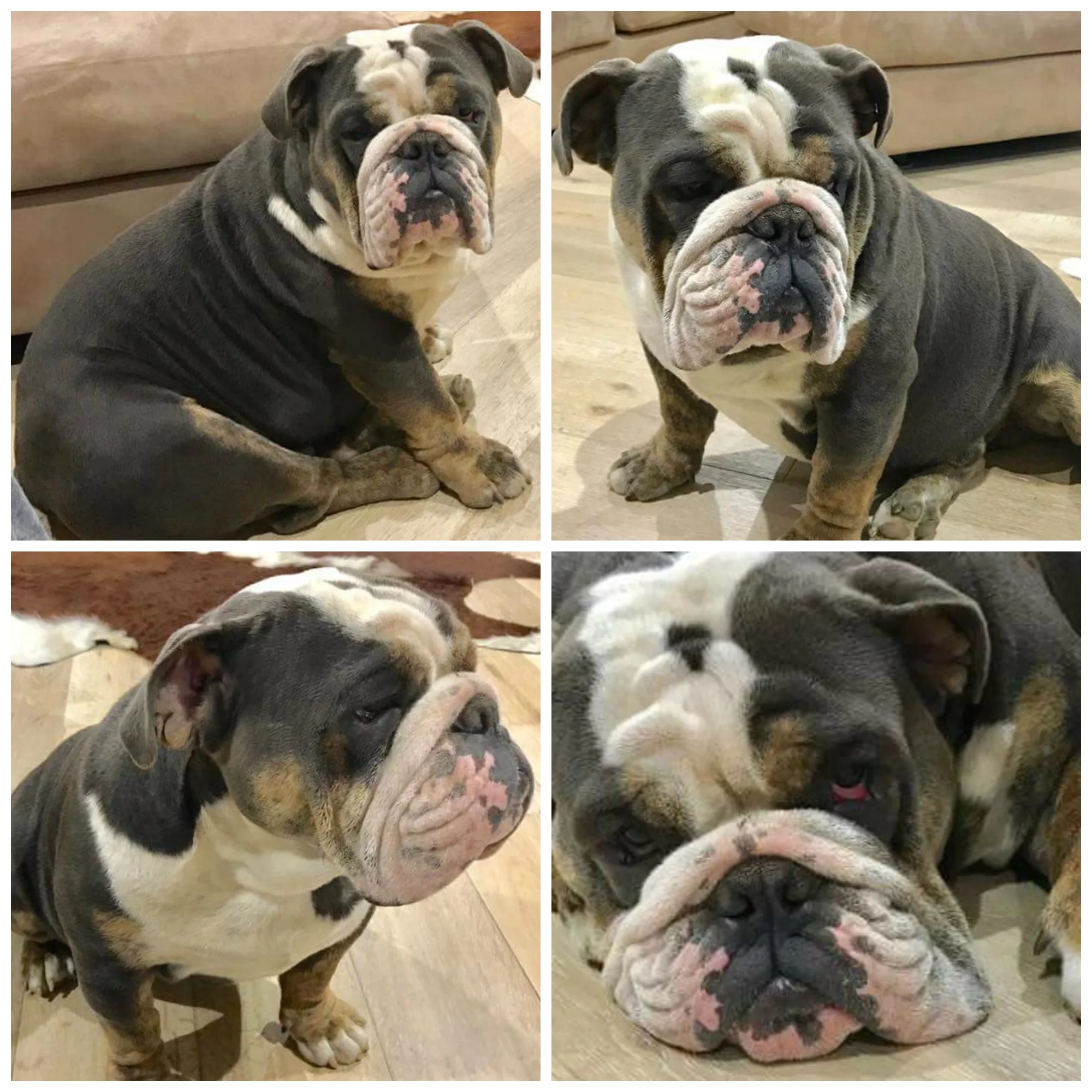 Heavy Duty - Opie Collage.jpg