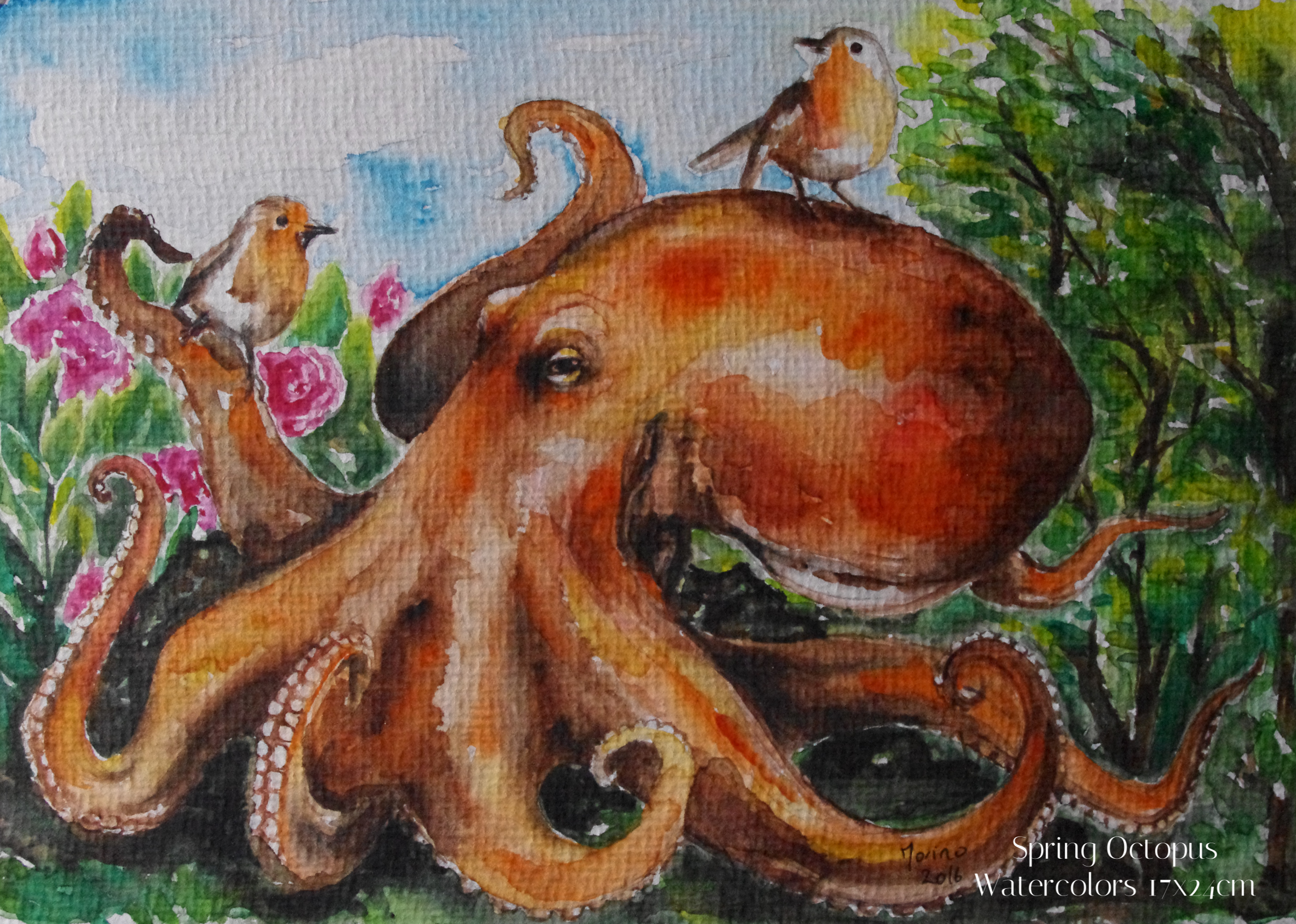 Spring octopus