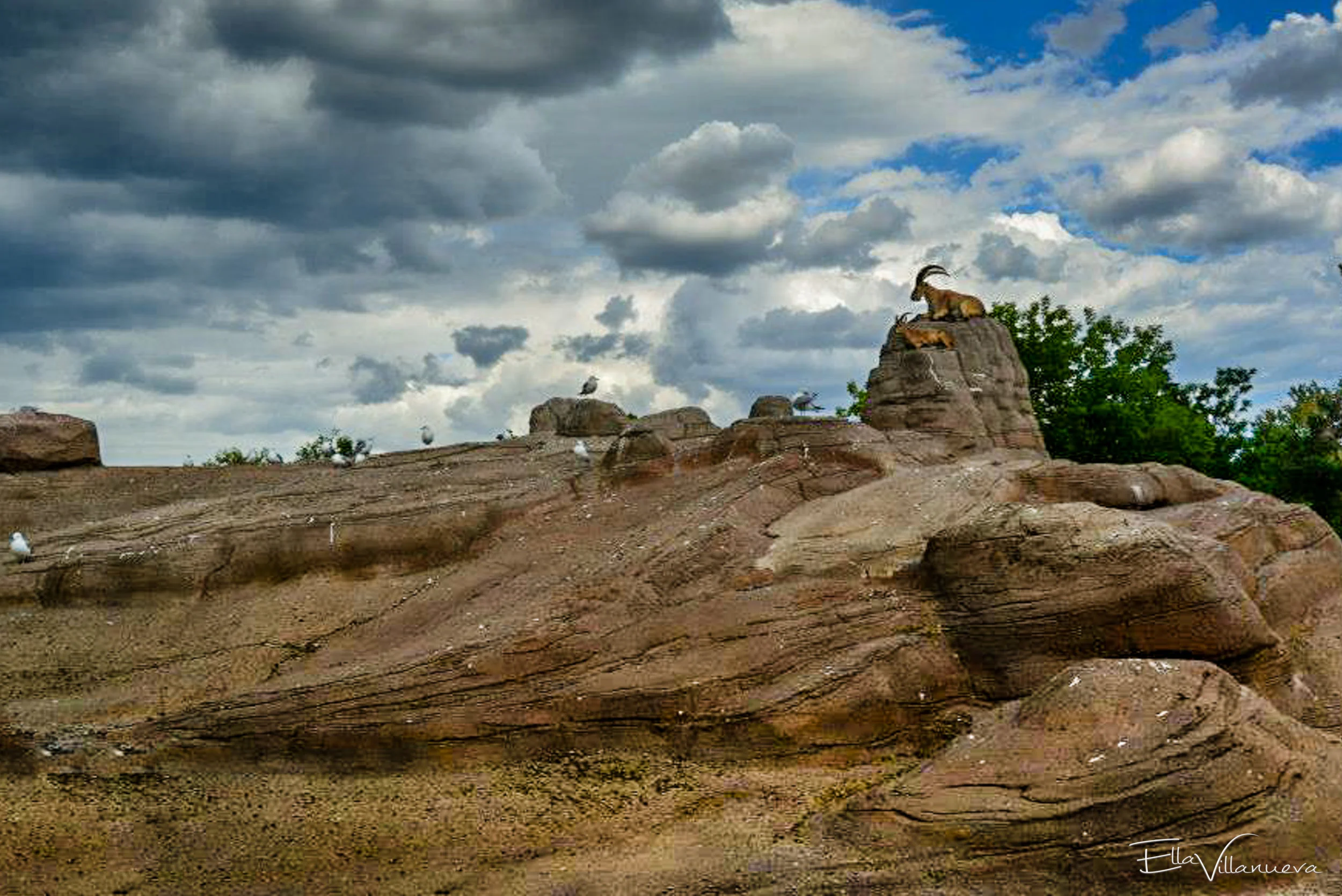 landscape5.jpg