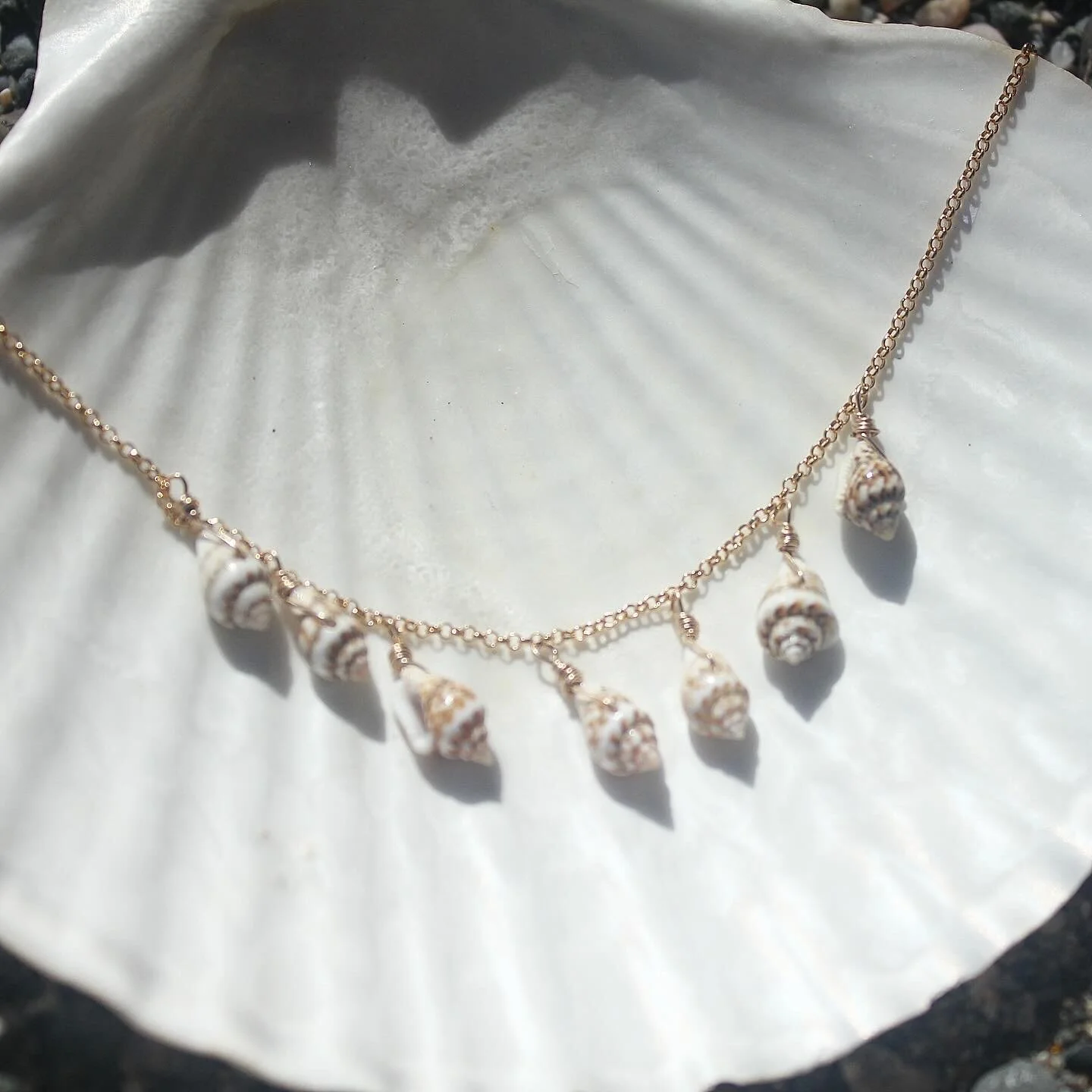 CED30356-01FB-45CD-A23A-2771BEEB2A33