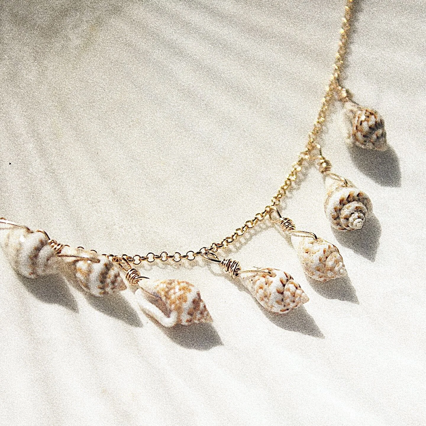 2717231A-6E8F-4765-BB9E-2E546825CE2A