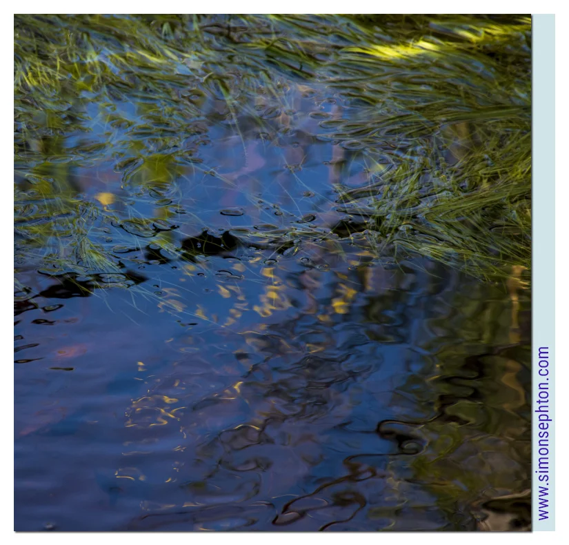 "Beyond Blue" by Simon Sephton. Taken right here in Silvermine Nature Reserve.
